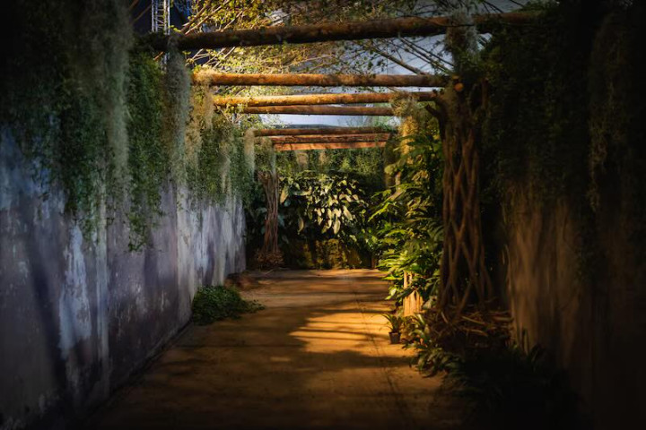 Tunnel jungle foto Wouter Francois