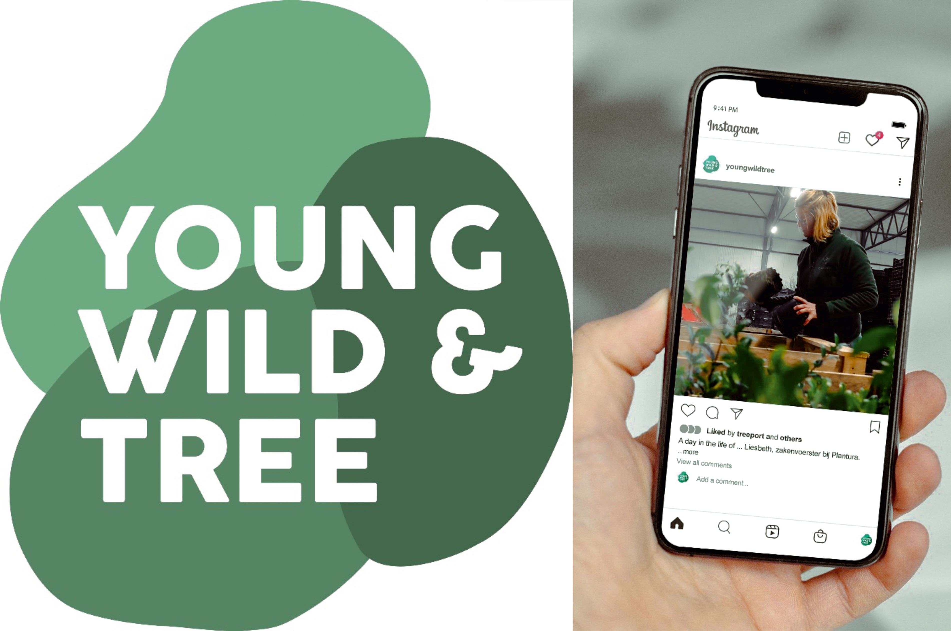 Young_Wild_tree_web.jpg