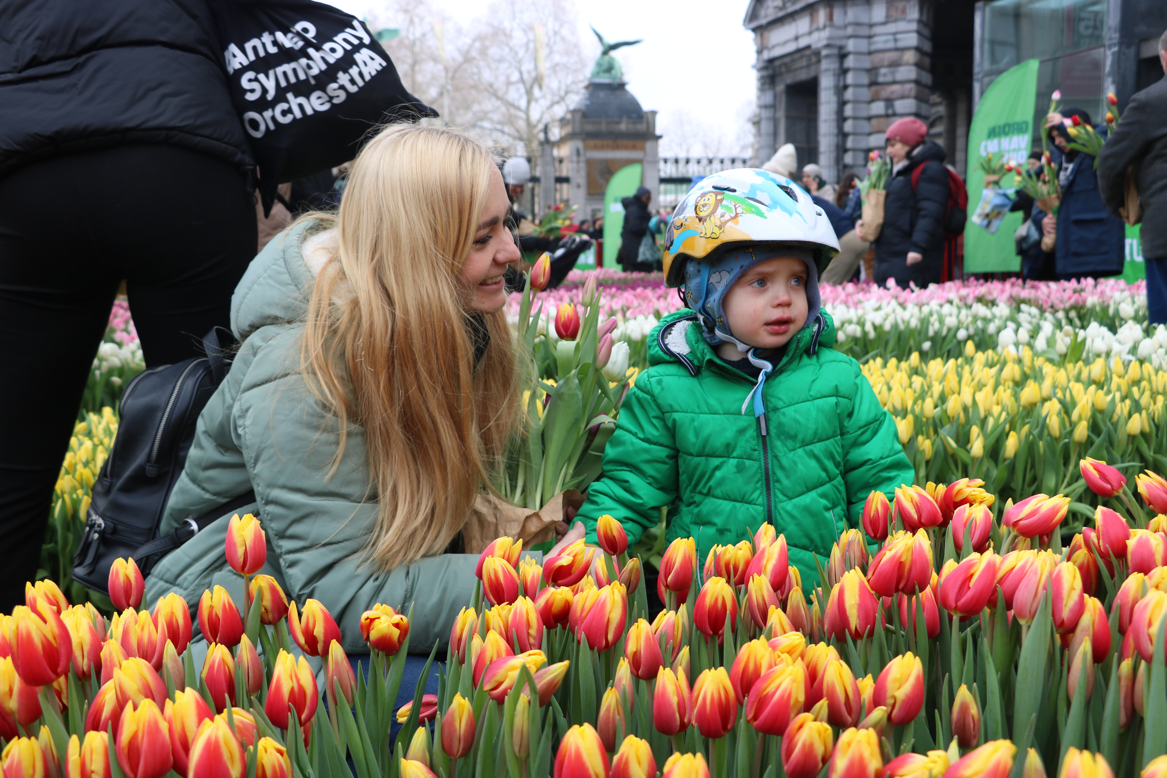 VLAM pluktuin tulpen