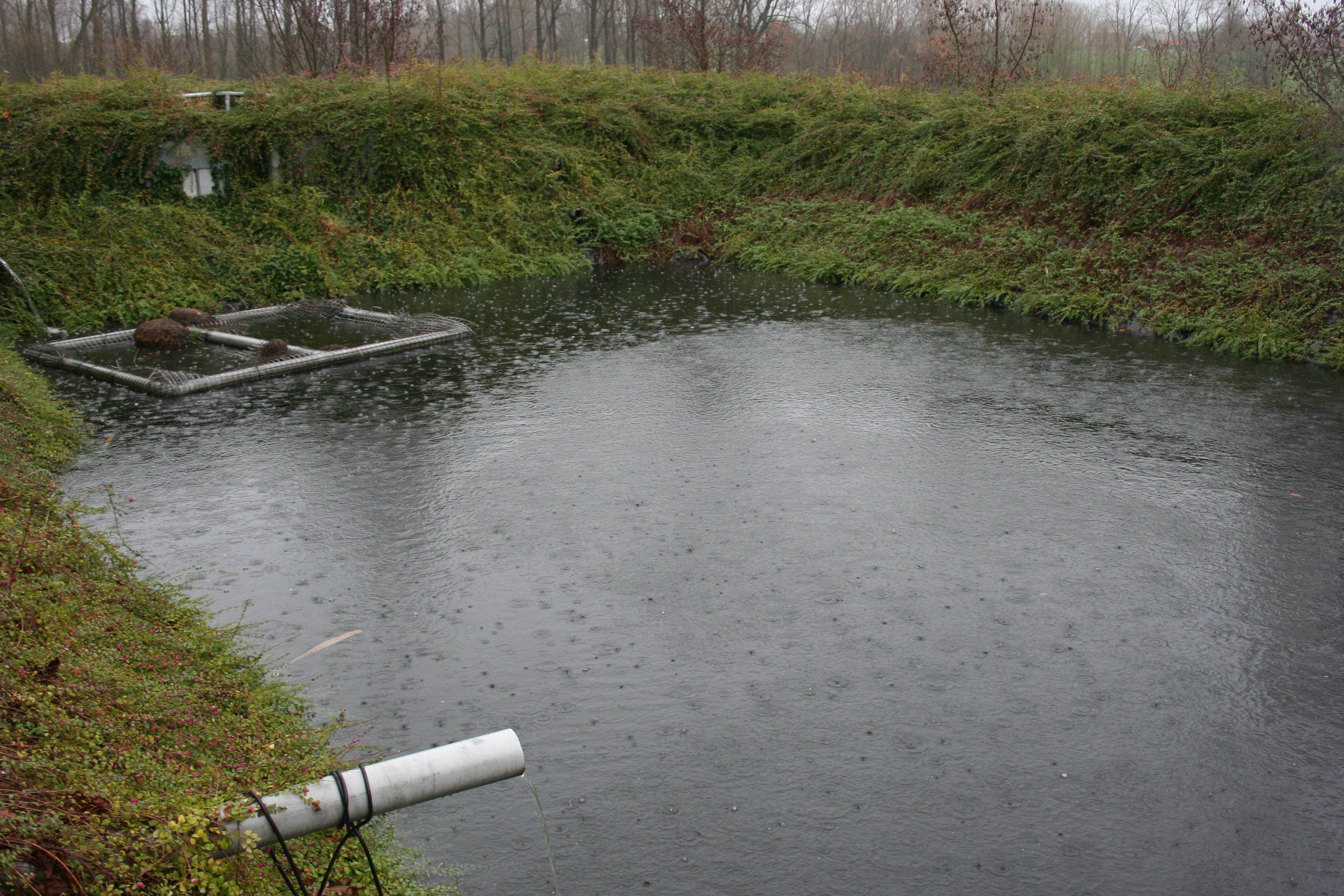 Water en waterzuivering - foto Luc Van Dijck Boerenbond