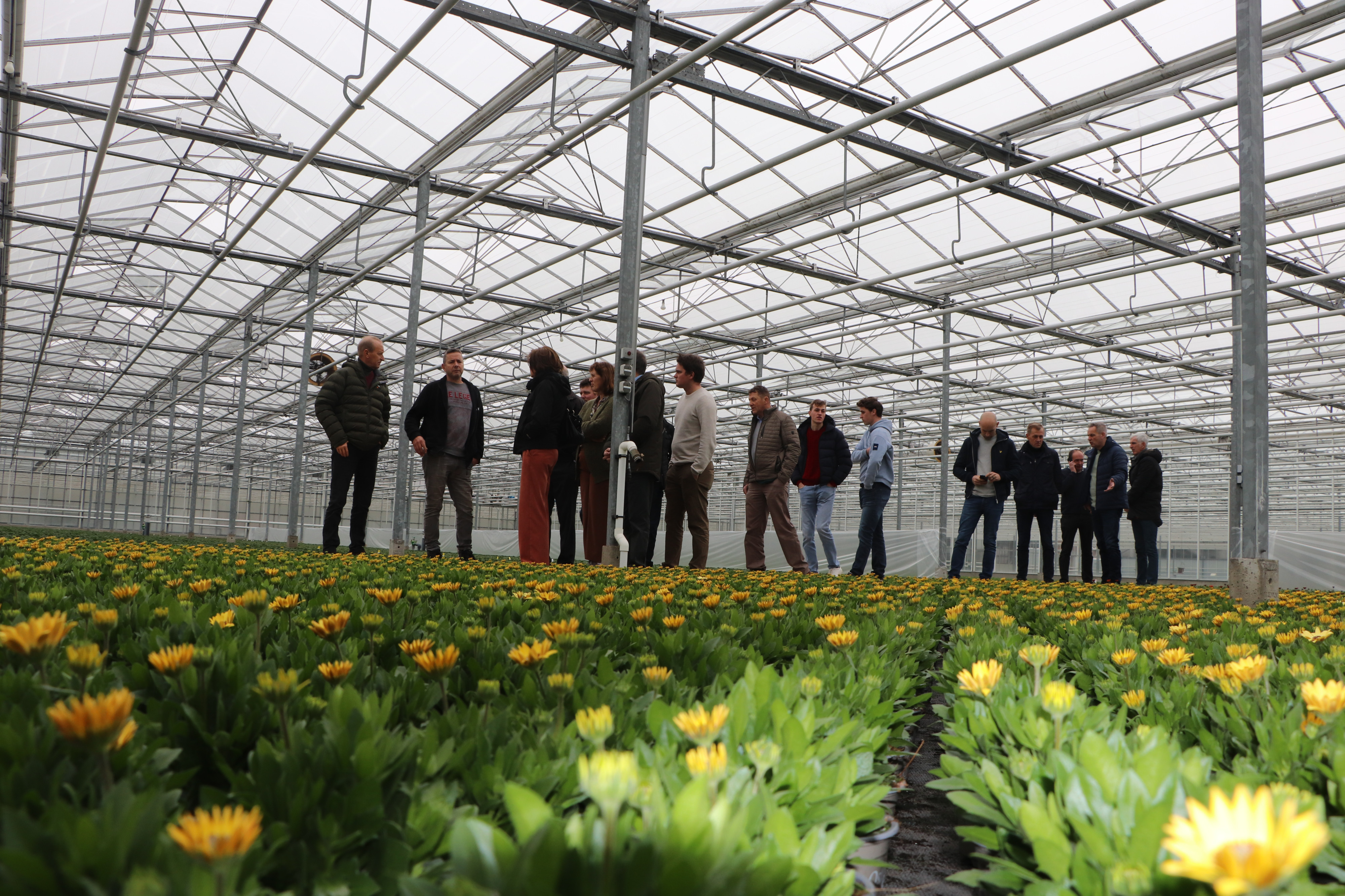 Uitstap Antwerpen naar Nederlandse collega bedrijven - foto Ivan De Clercq