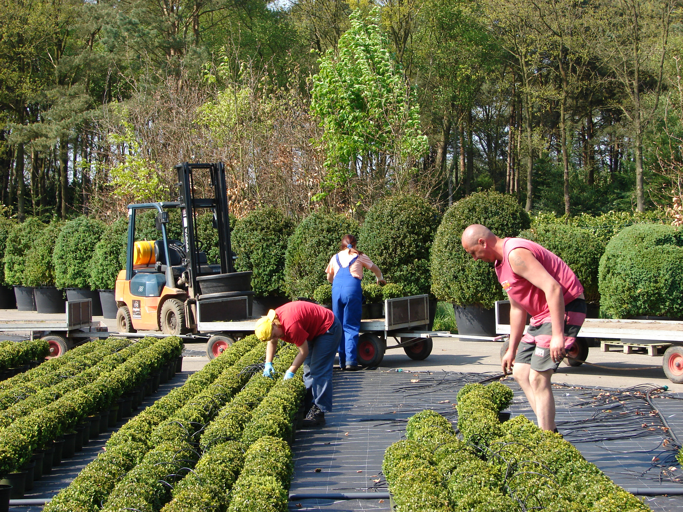 Tewerkstelling - foto AVBS