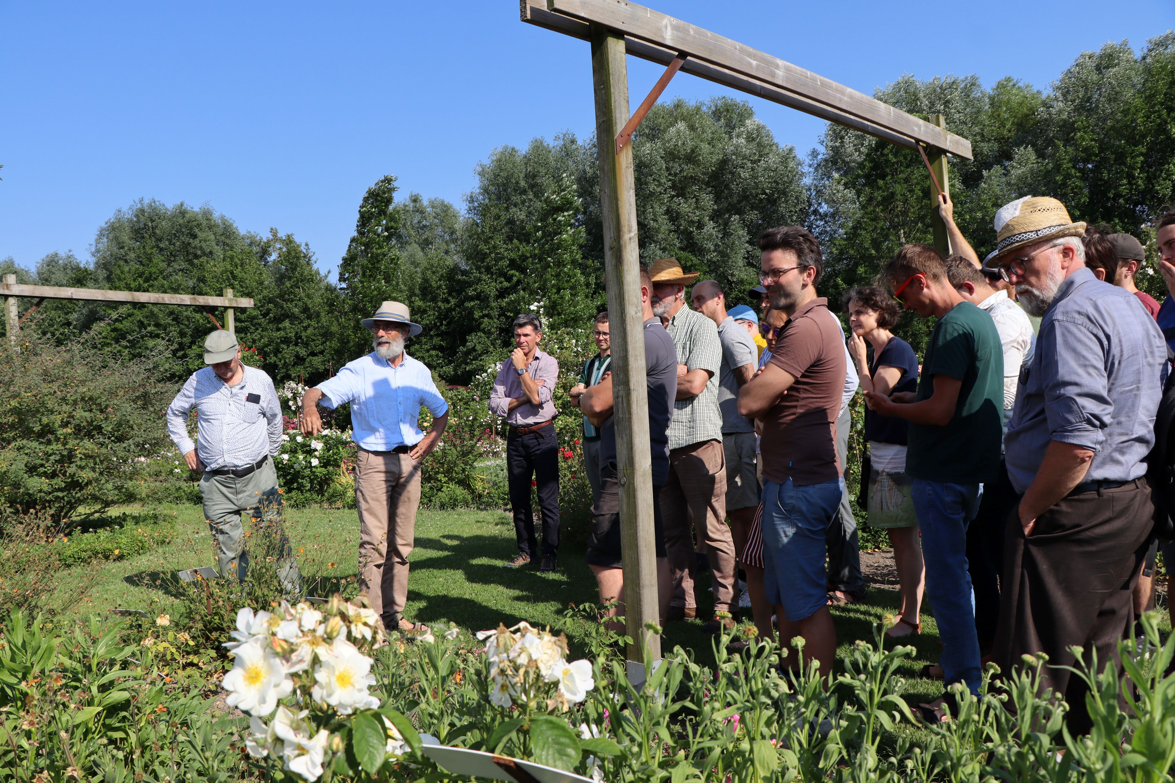 Lerend netwerk - Miet Poppe