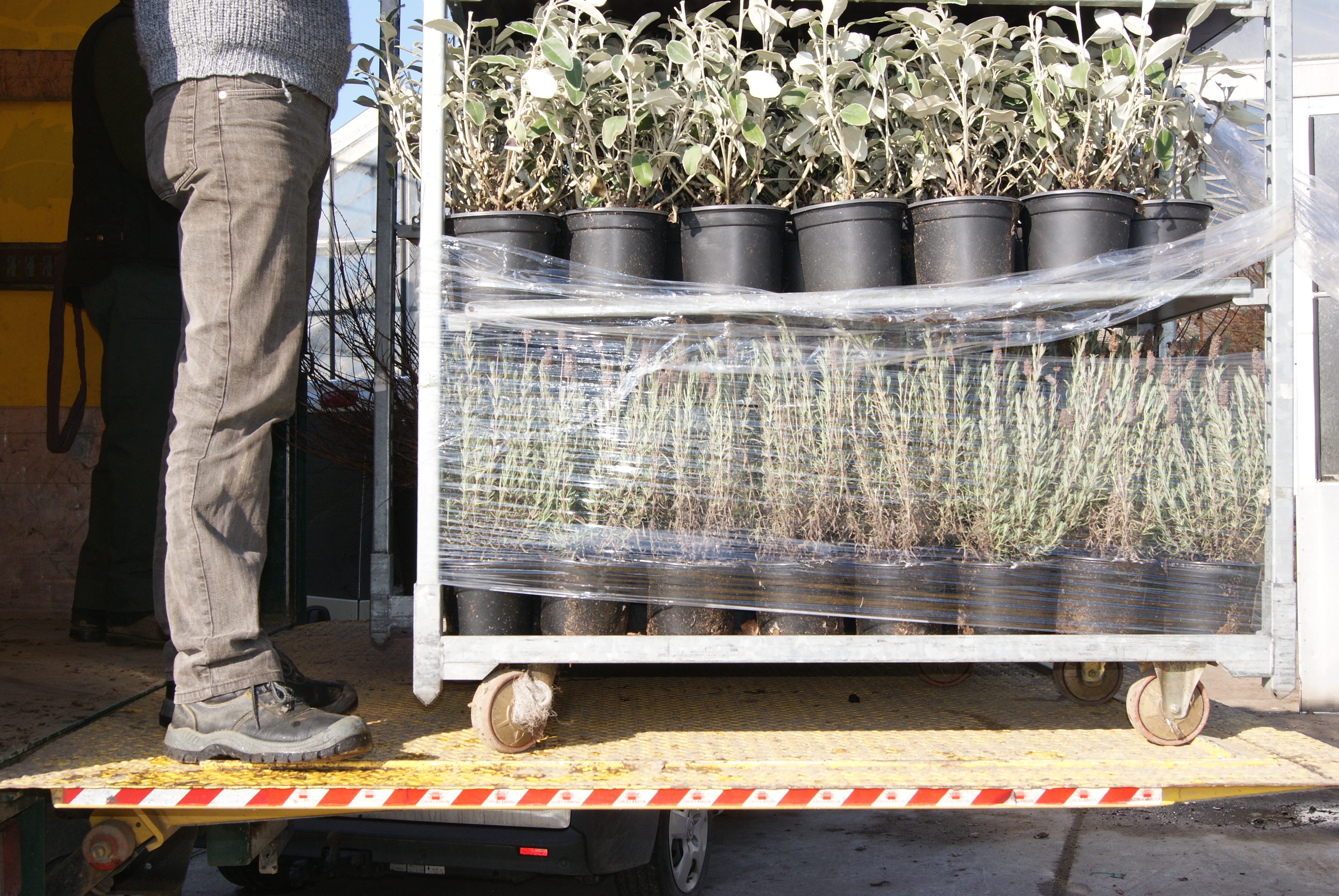 Handel - container op vrachtwagen - export - foto AVBS