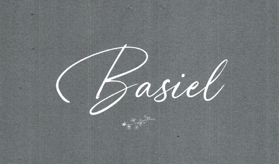 Geboortekaartje Basiel van Fien Dhaese