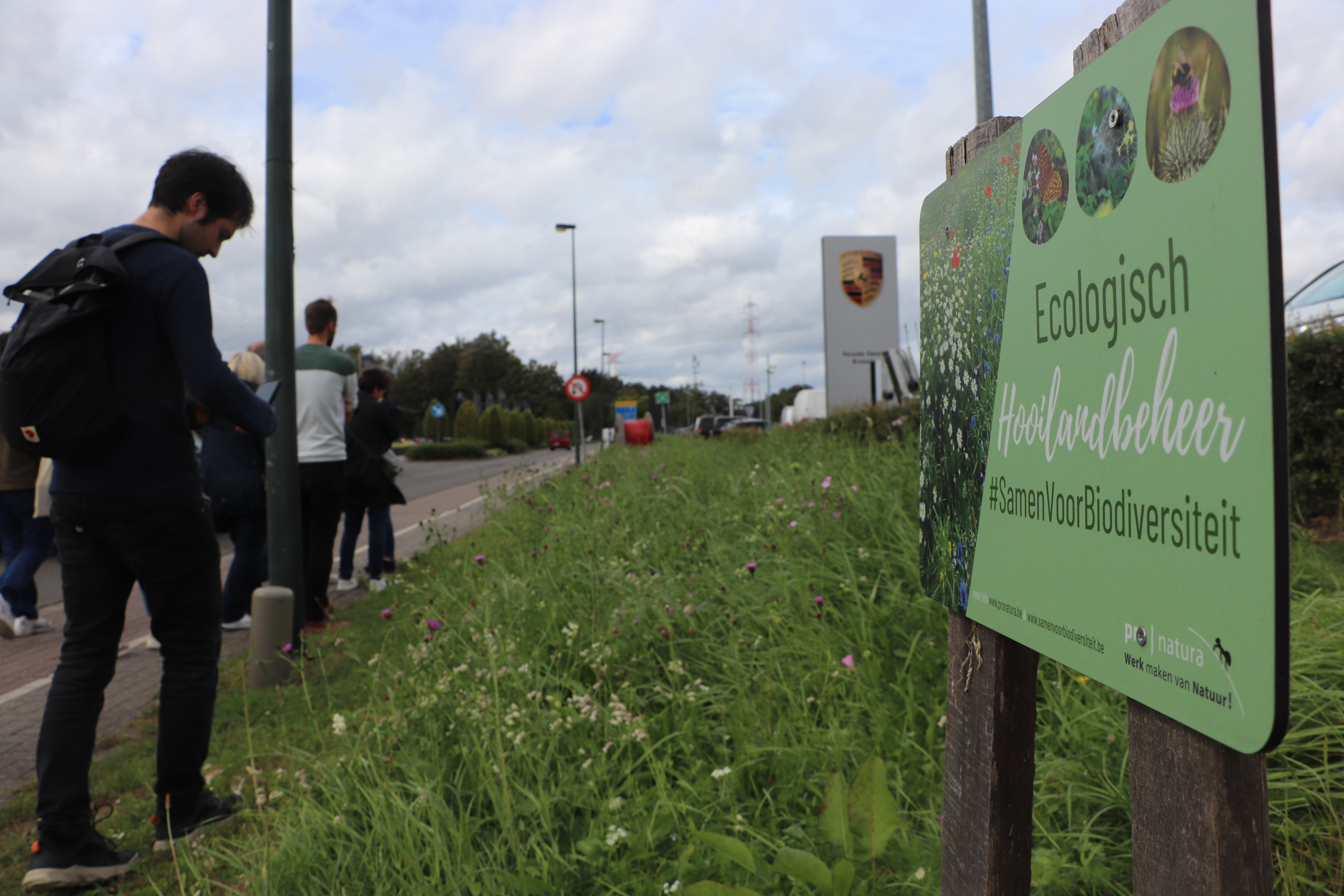 Betere bedrijventerreinen met meer groen - foto Ivan De Clercq