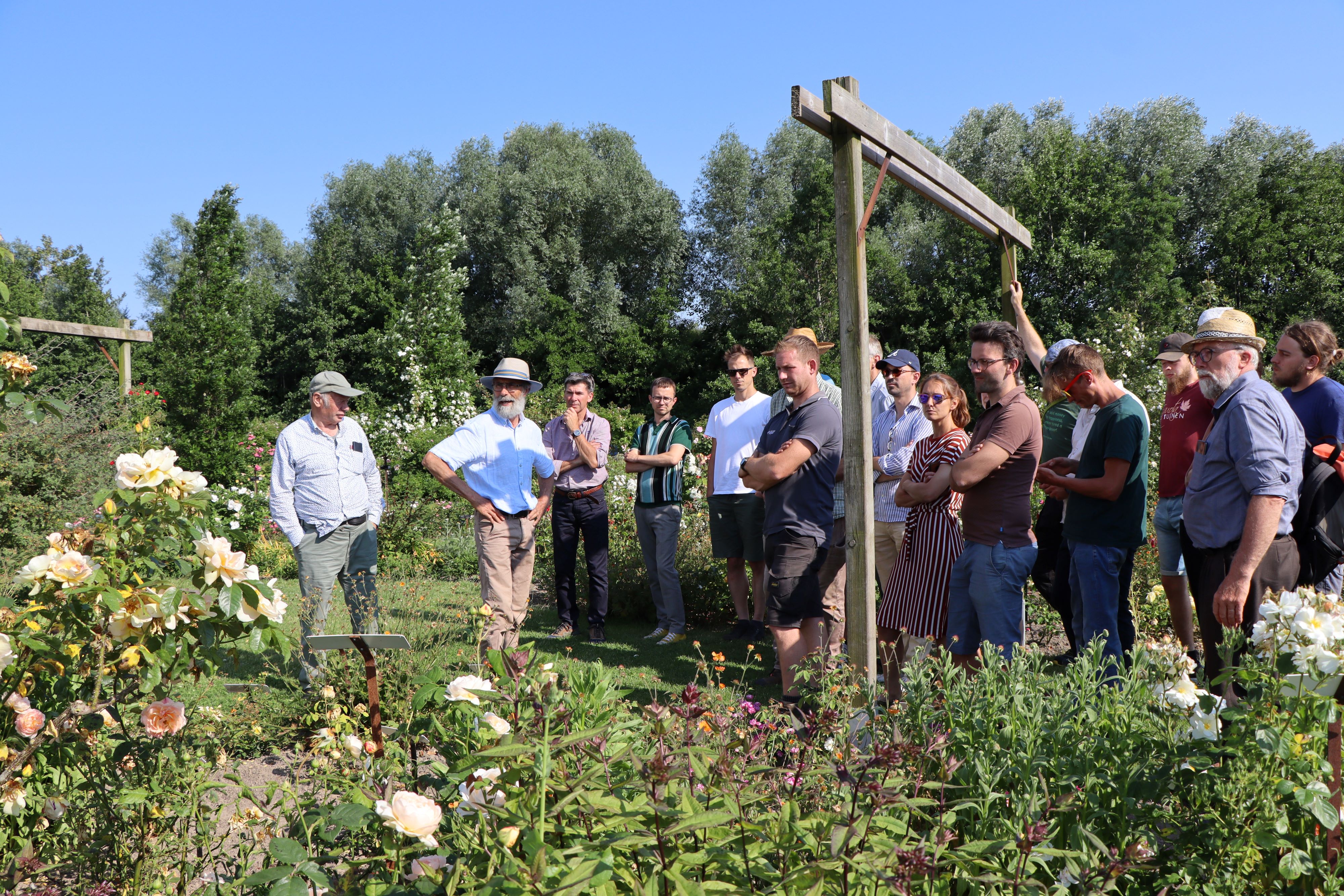 Lerend netwerk - Lens Roses - foto Miet Poppe