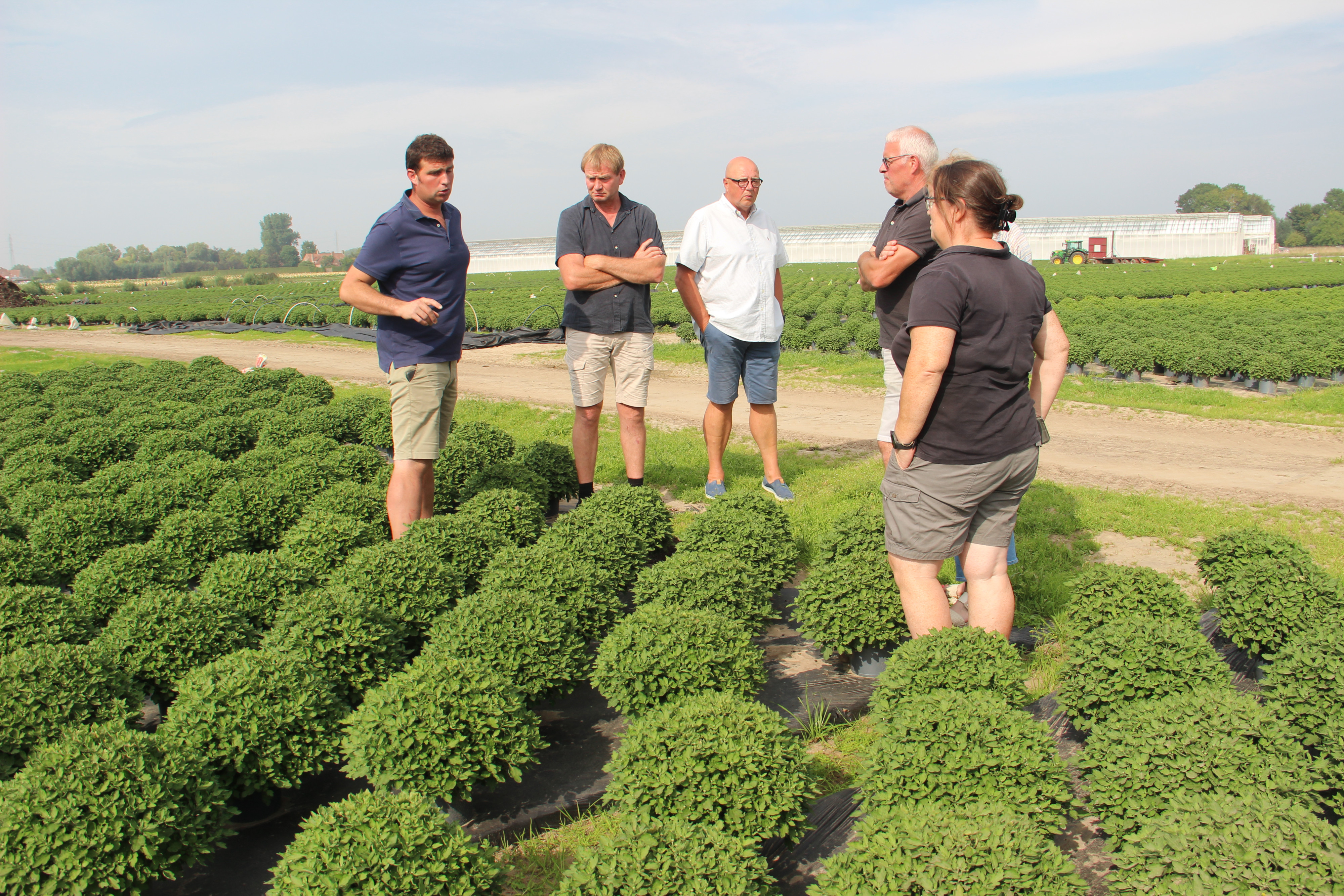 Dag vd Vlaamse azaleateler - Joluplant - foto Patrick Dieleman