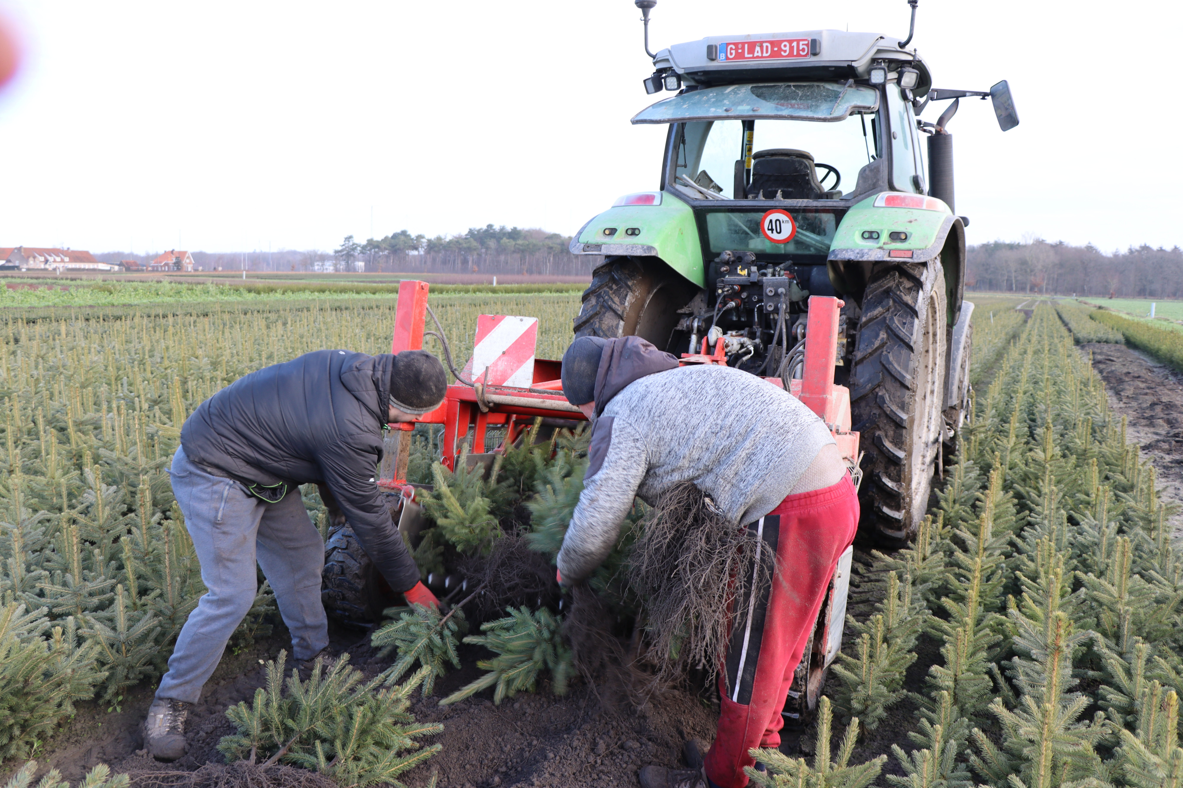 Seizoenarbeid Allaert - tewerkstelling - foto Jan Vancayzeele