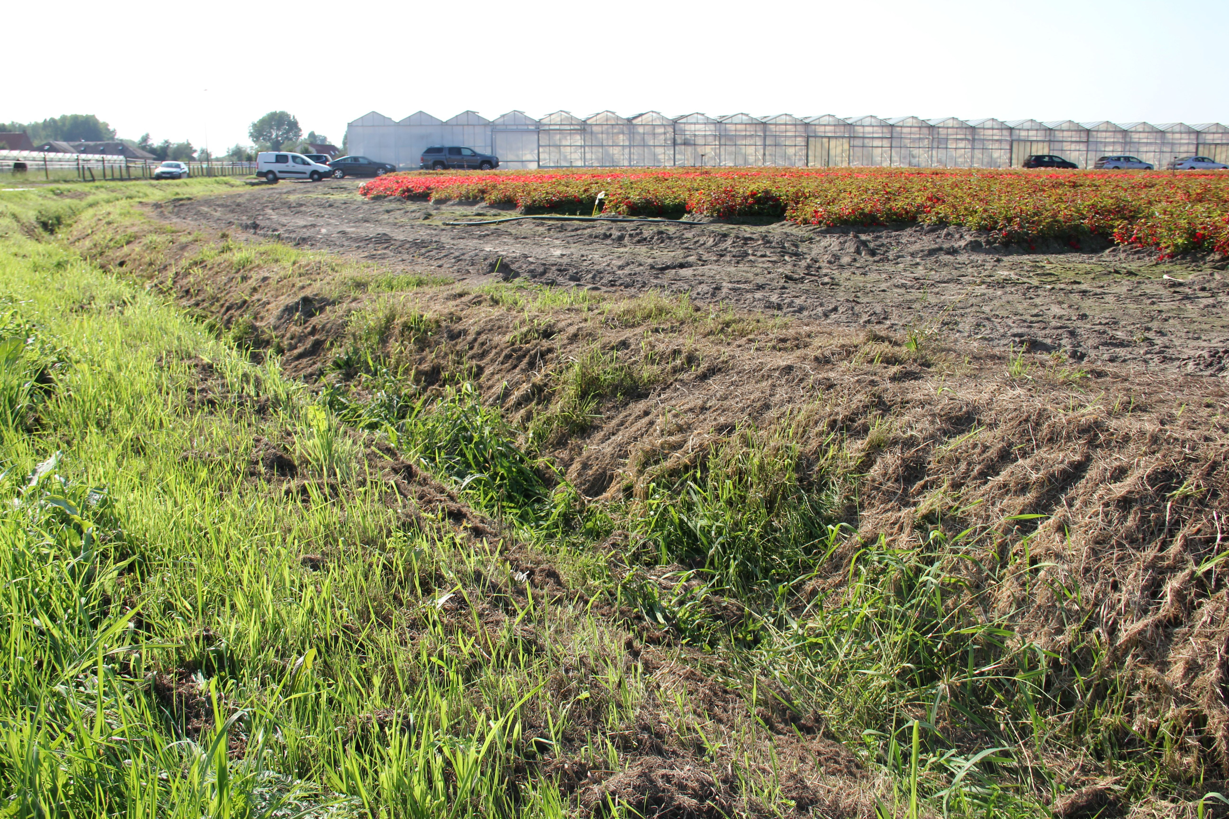 Bufferzones langs waterwegen - foto AVBS