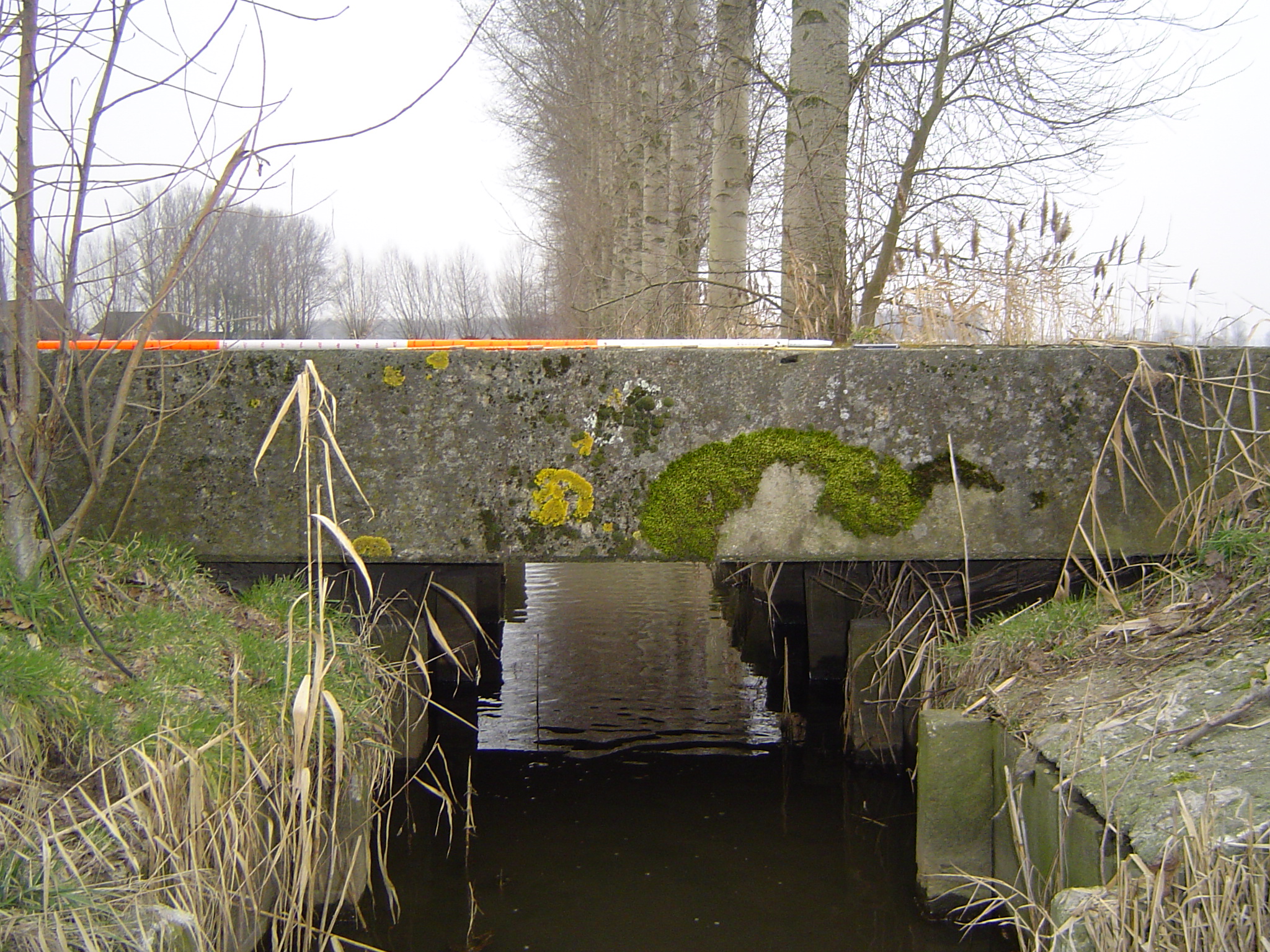 Water foto avbs - grondwatertrein