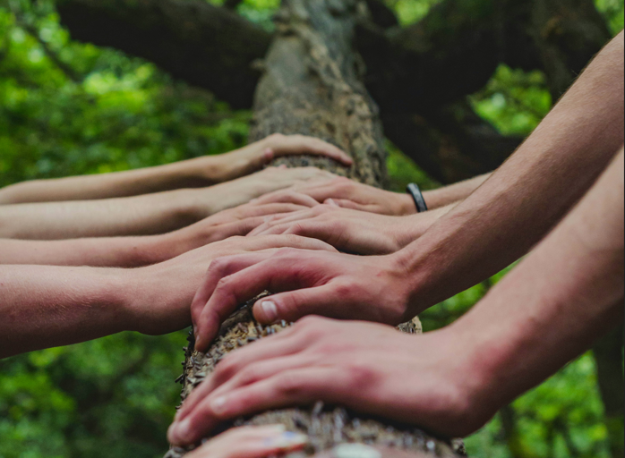 Ketenoverleg handen sierteelt - foto unsplash