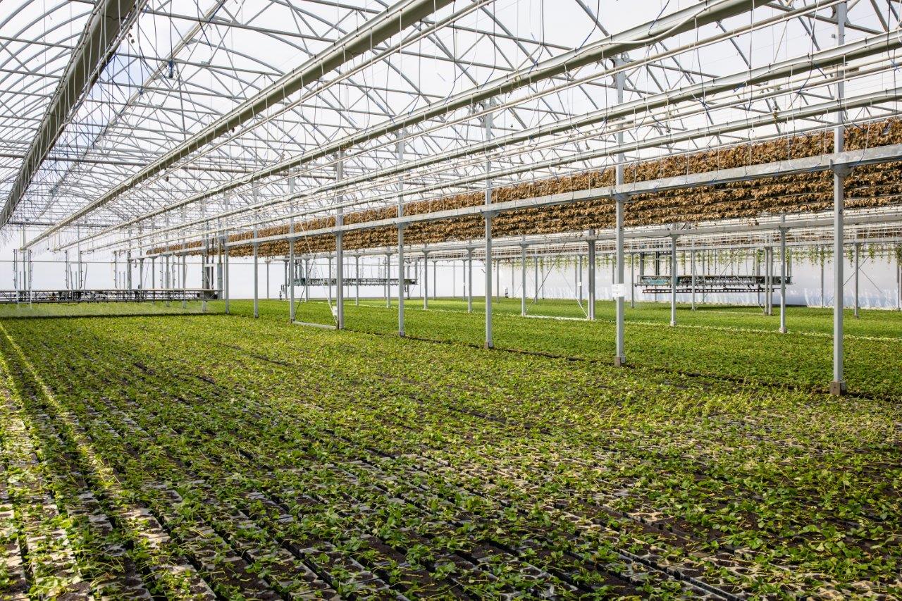 de multifunctionele gietboom