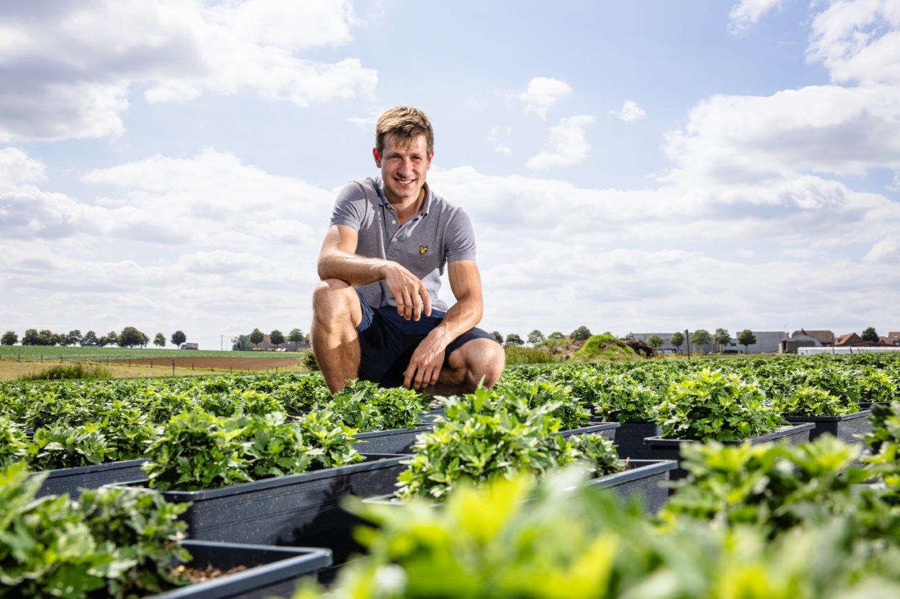 wouter op het containerveld met chrysanten