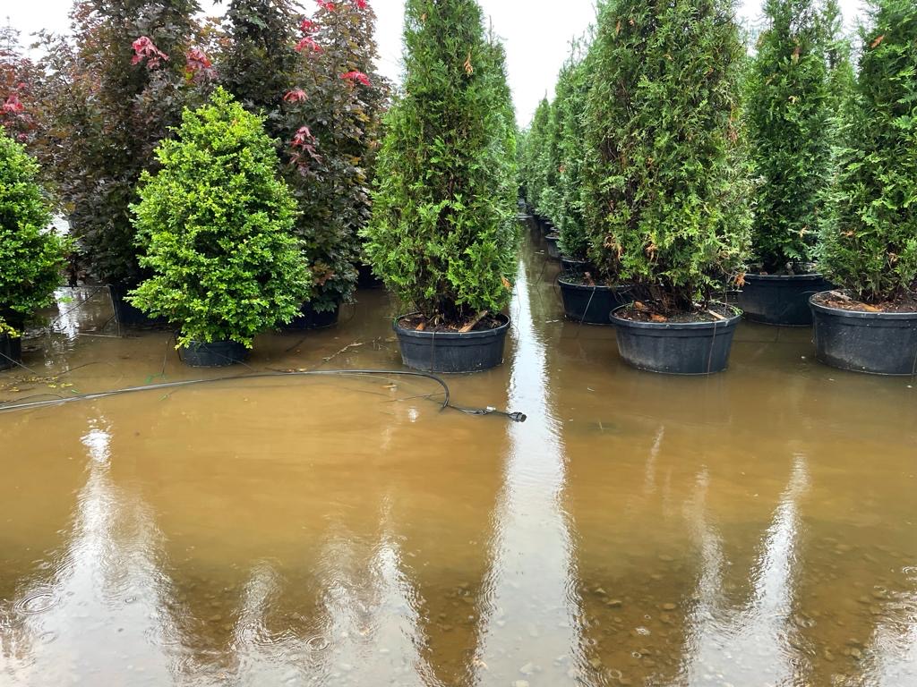 onder water gelopen containerveld