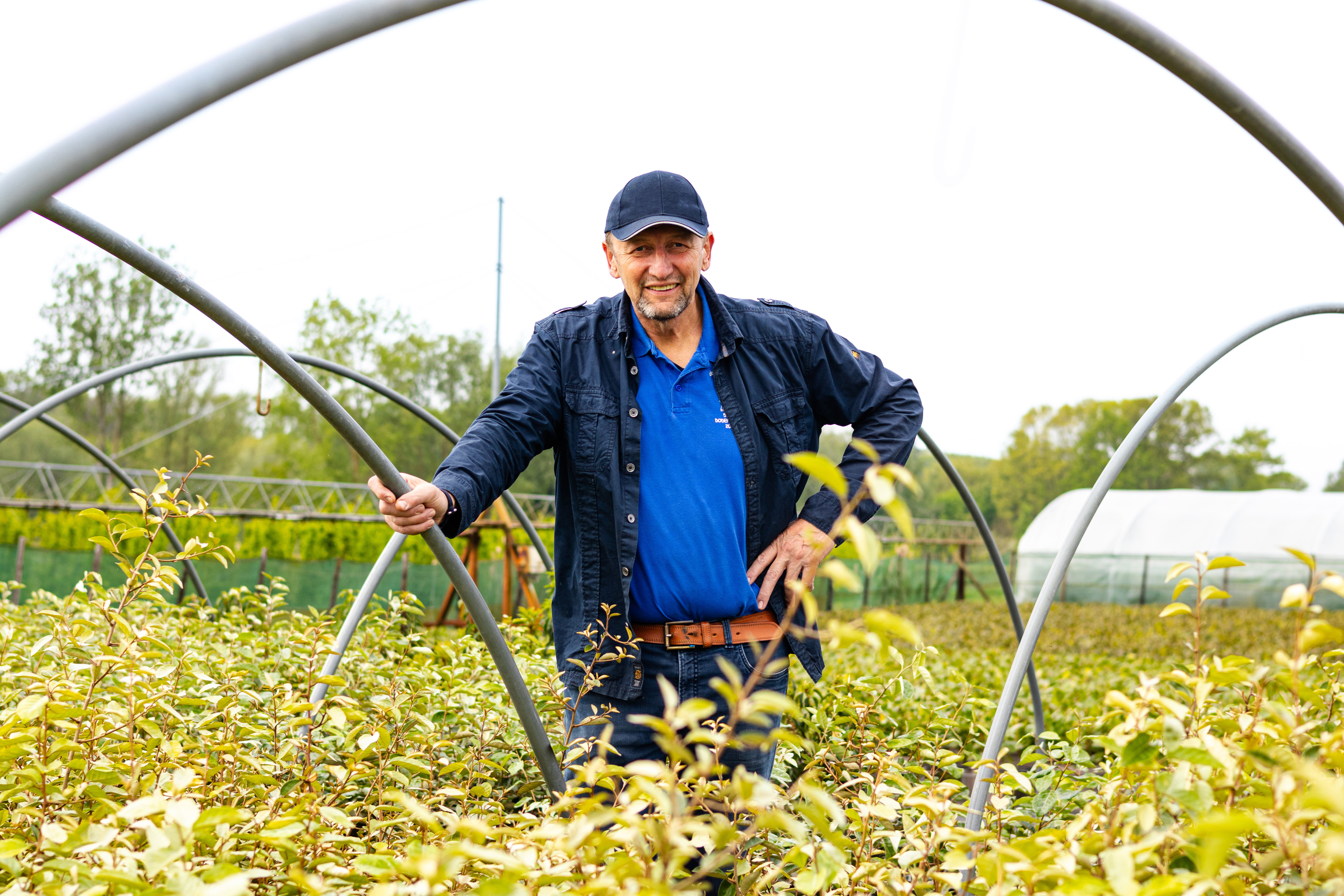 Jan Van Herreweghe in een boomkwekerij