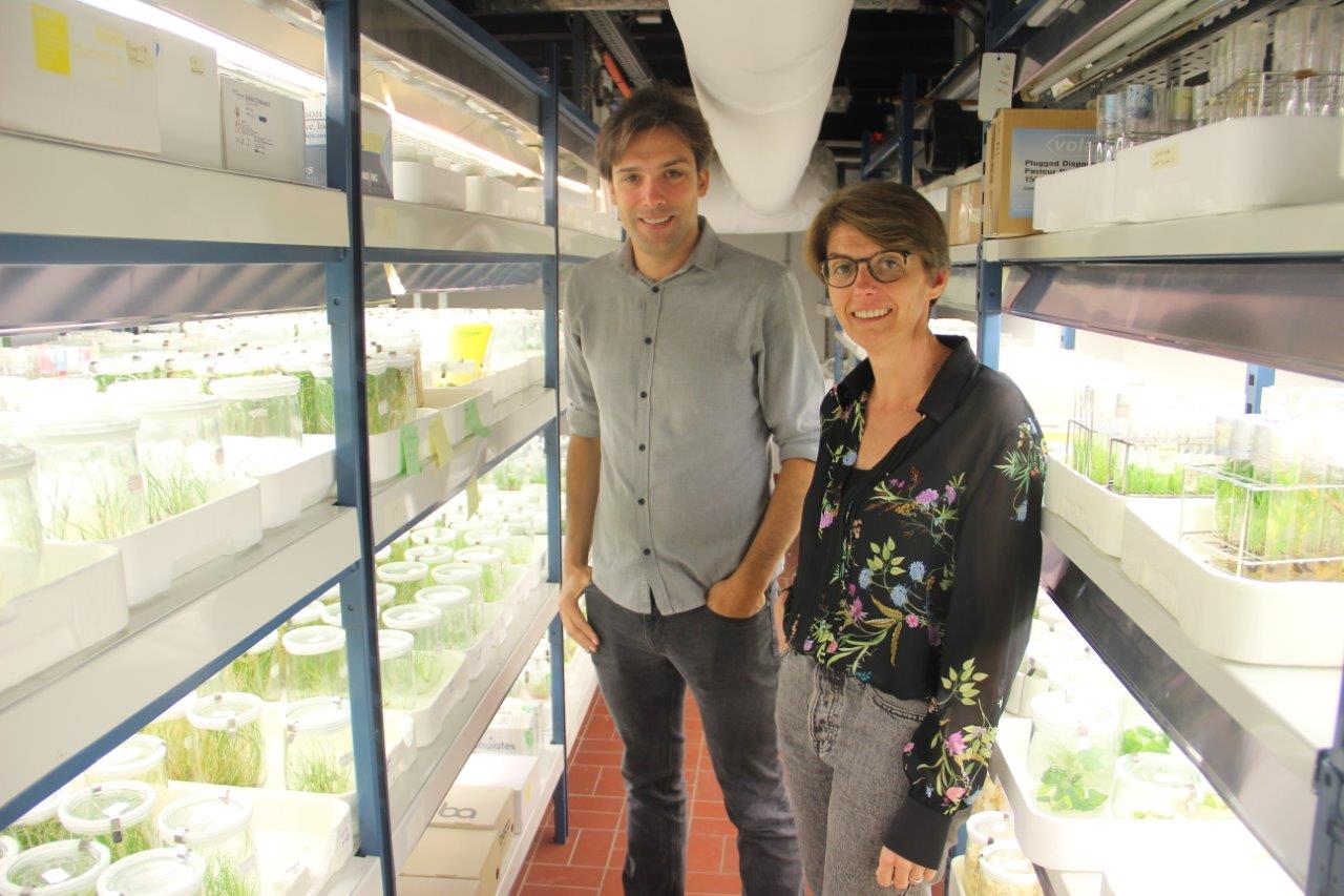 Laurens en Katrijn