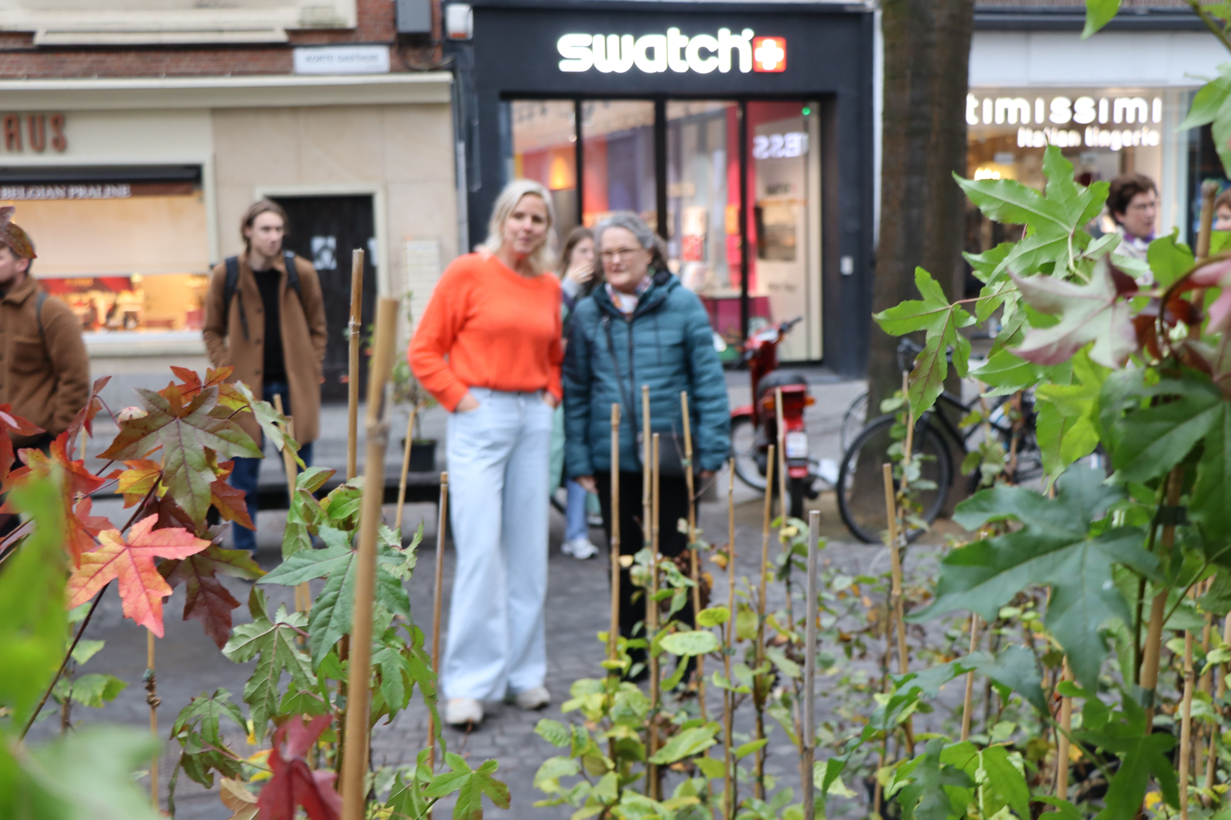 bomen verkopen