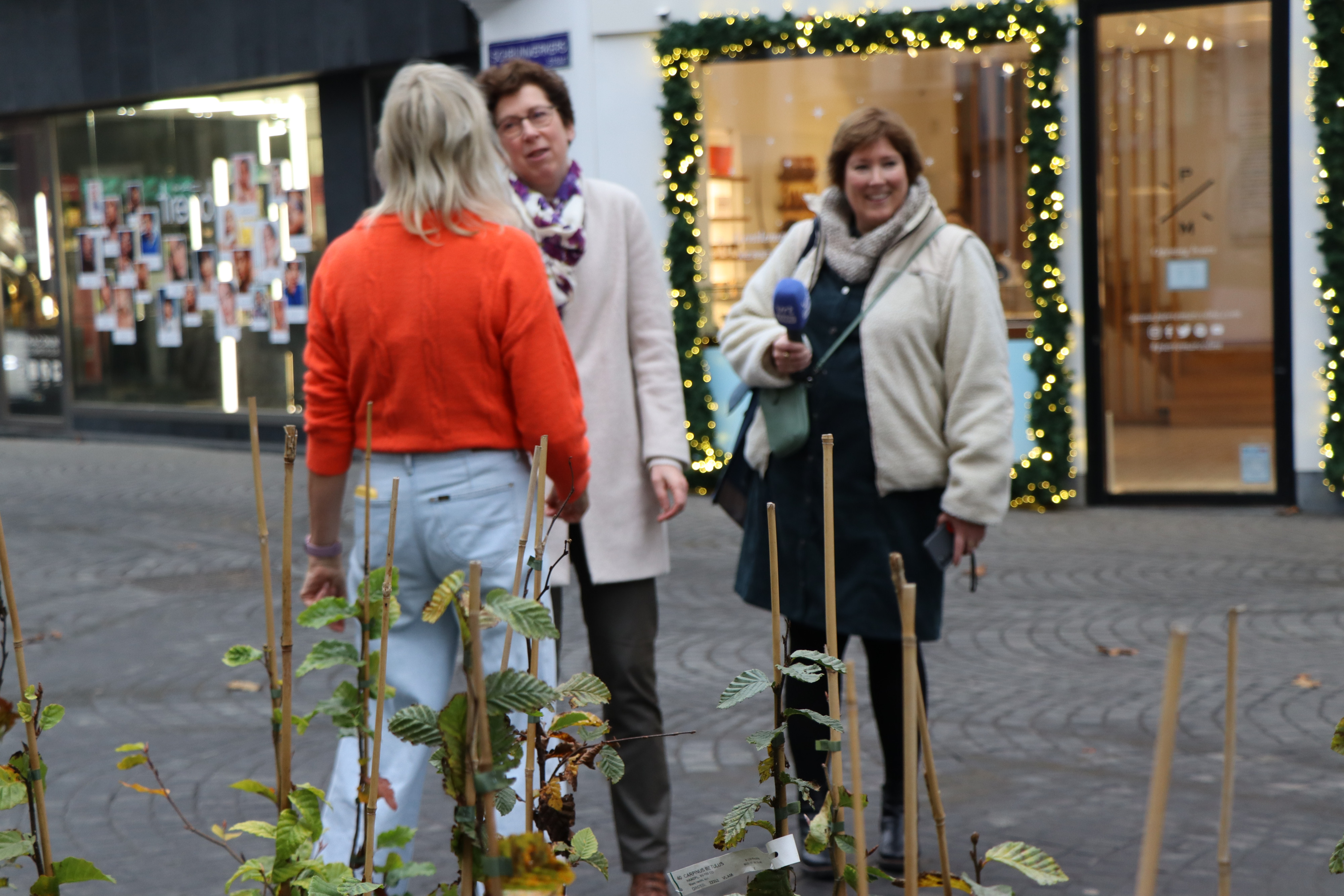 bomen verkopen