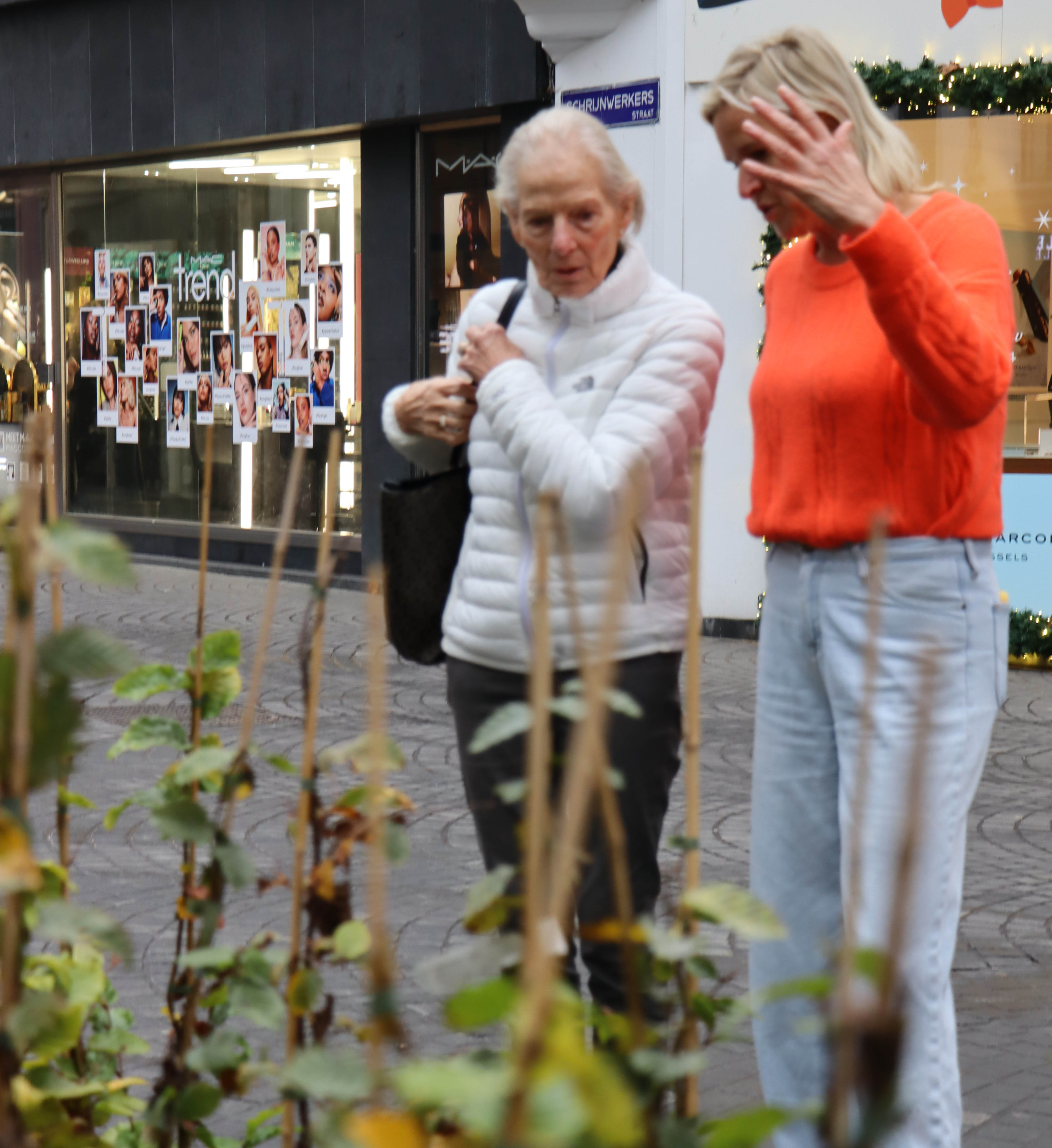 boomplantdag Antwerpen
