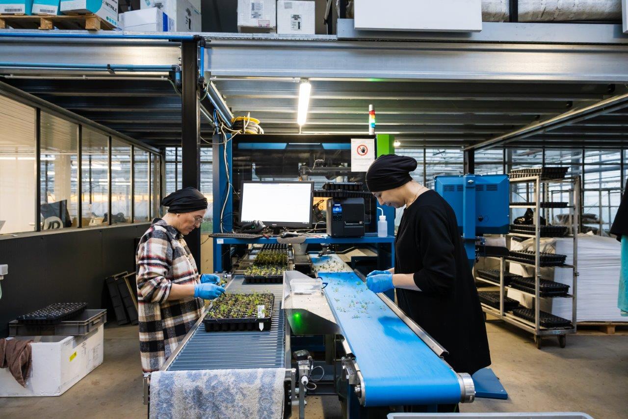 medewerkers verspenen