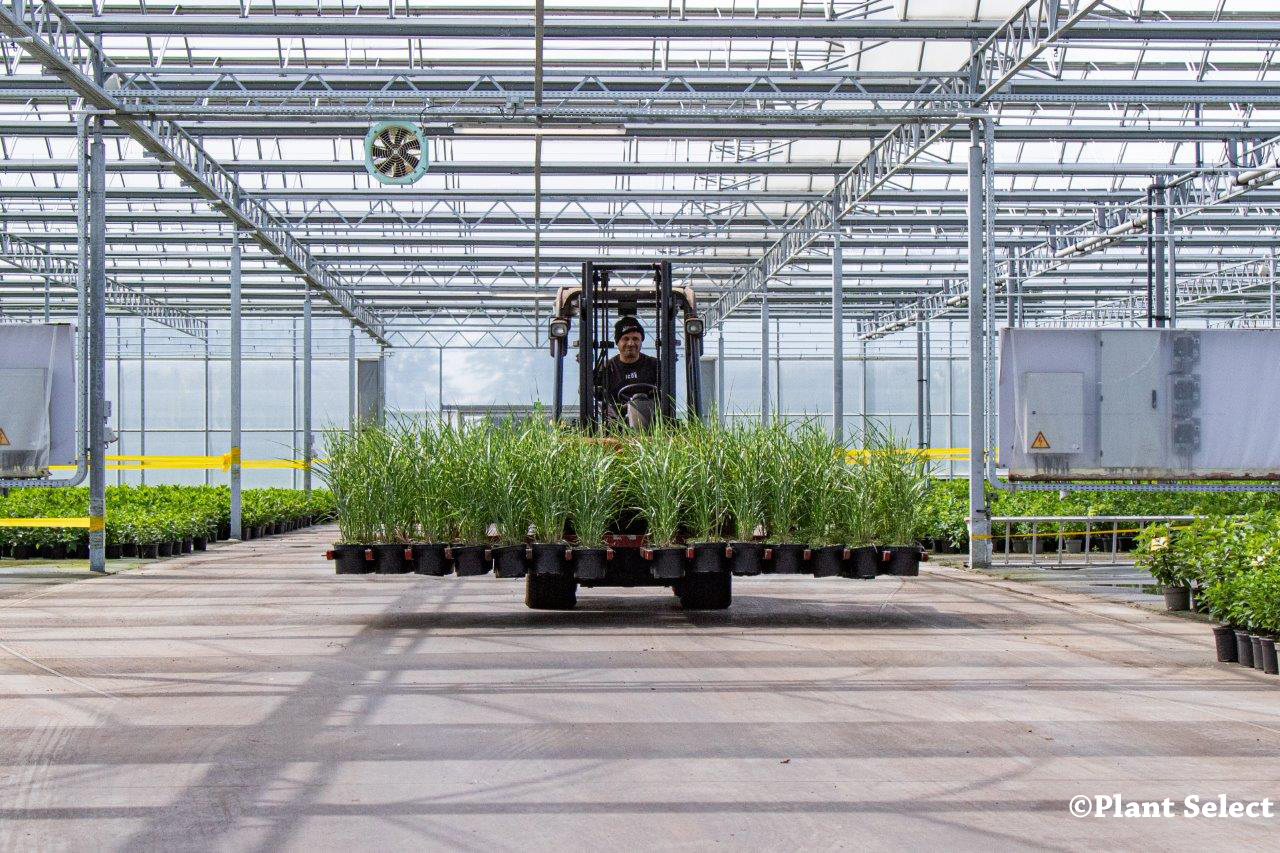 heftruck vervoert planten