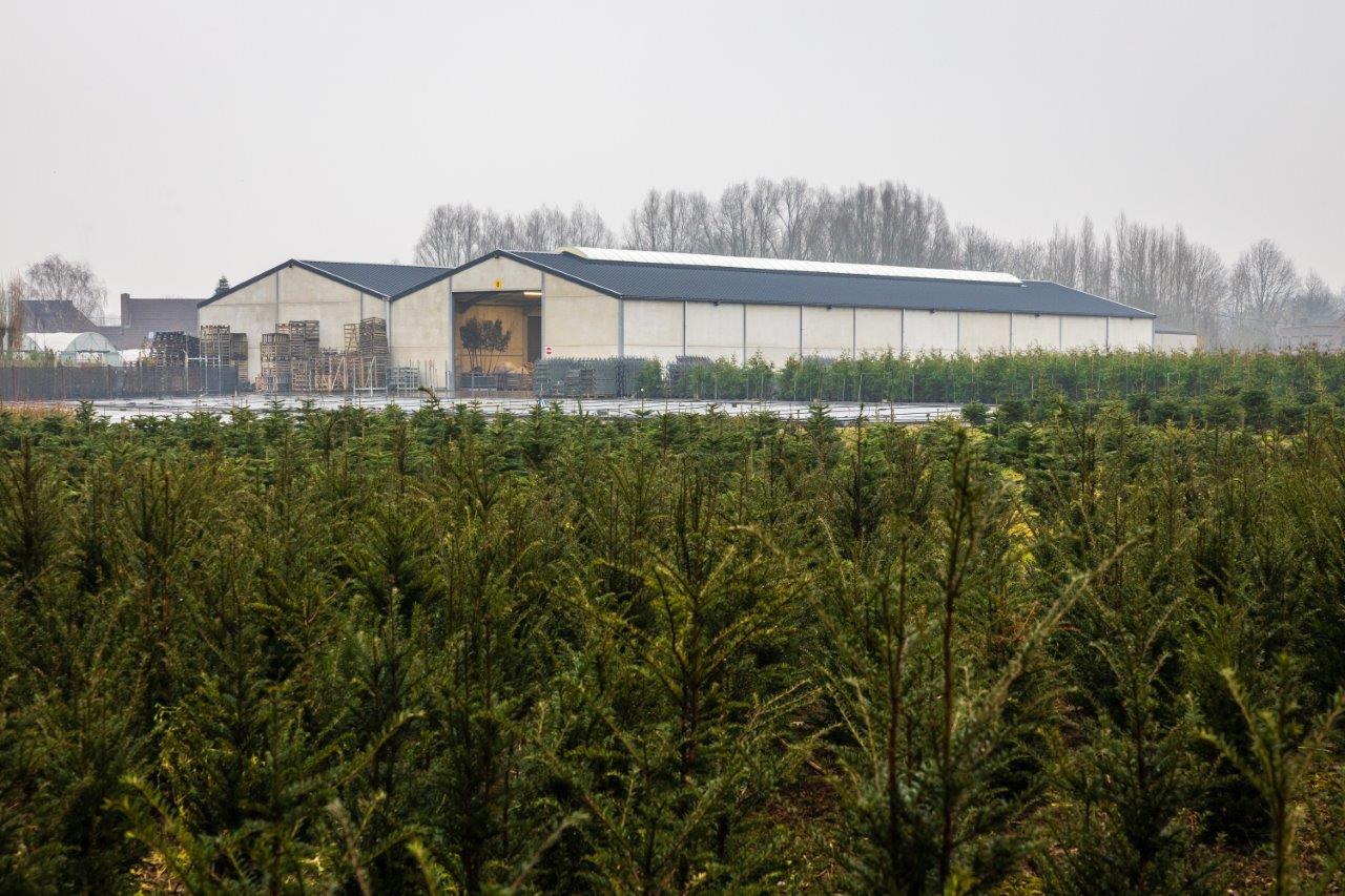 de gebouwen met de kwekerij op de voorgrond
