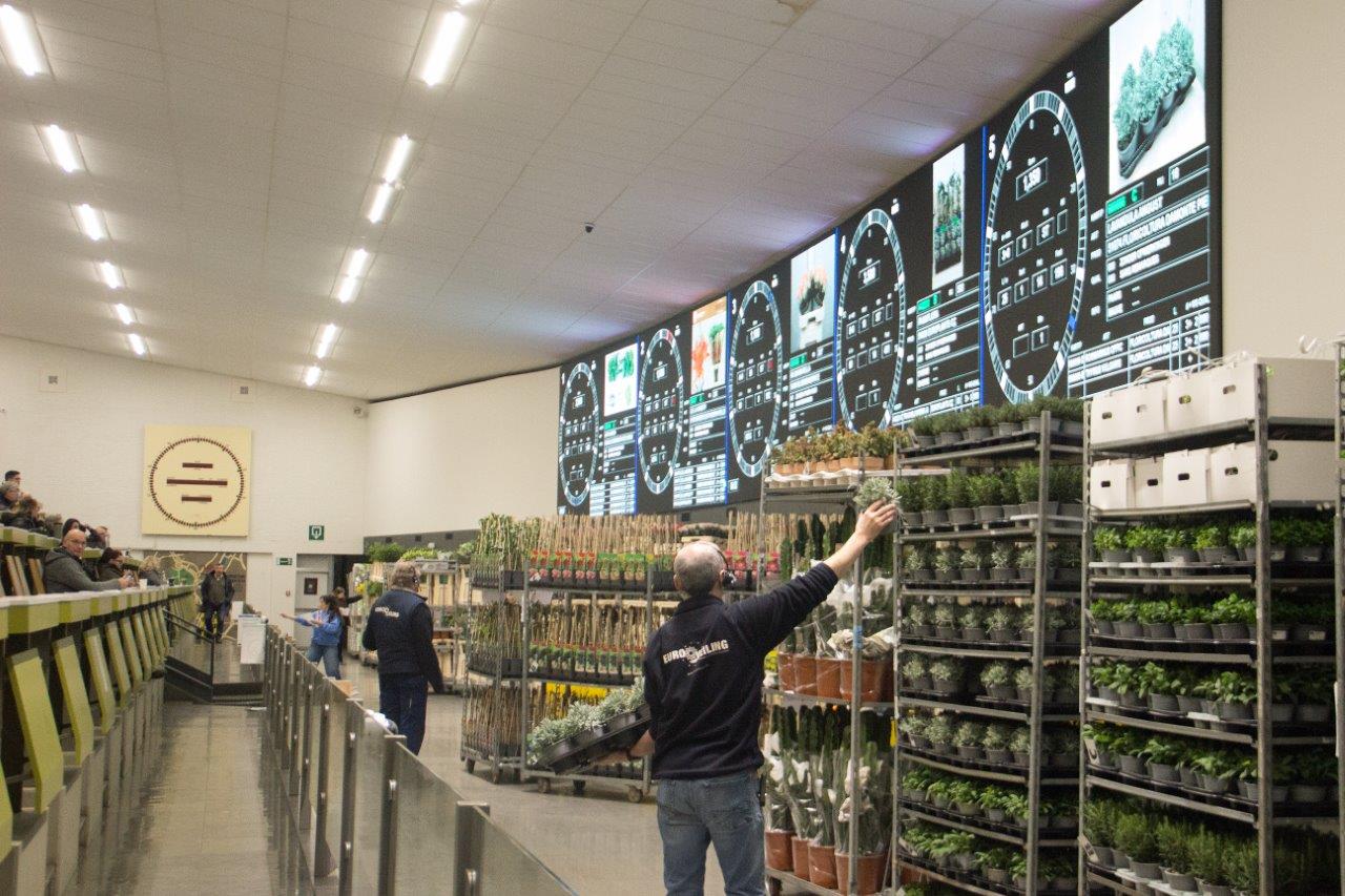 veilingzaal met meerdere klokken