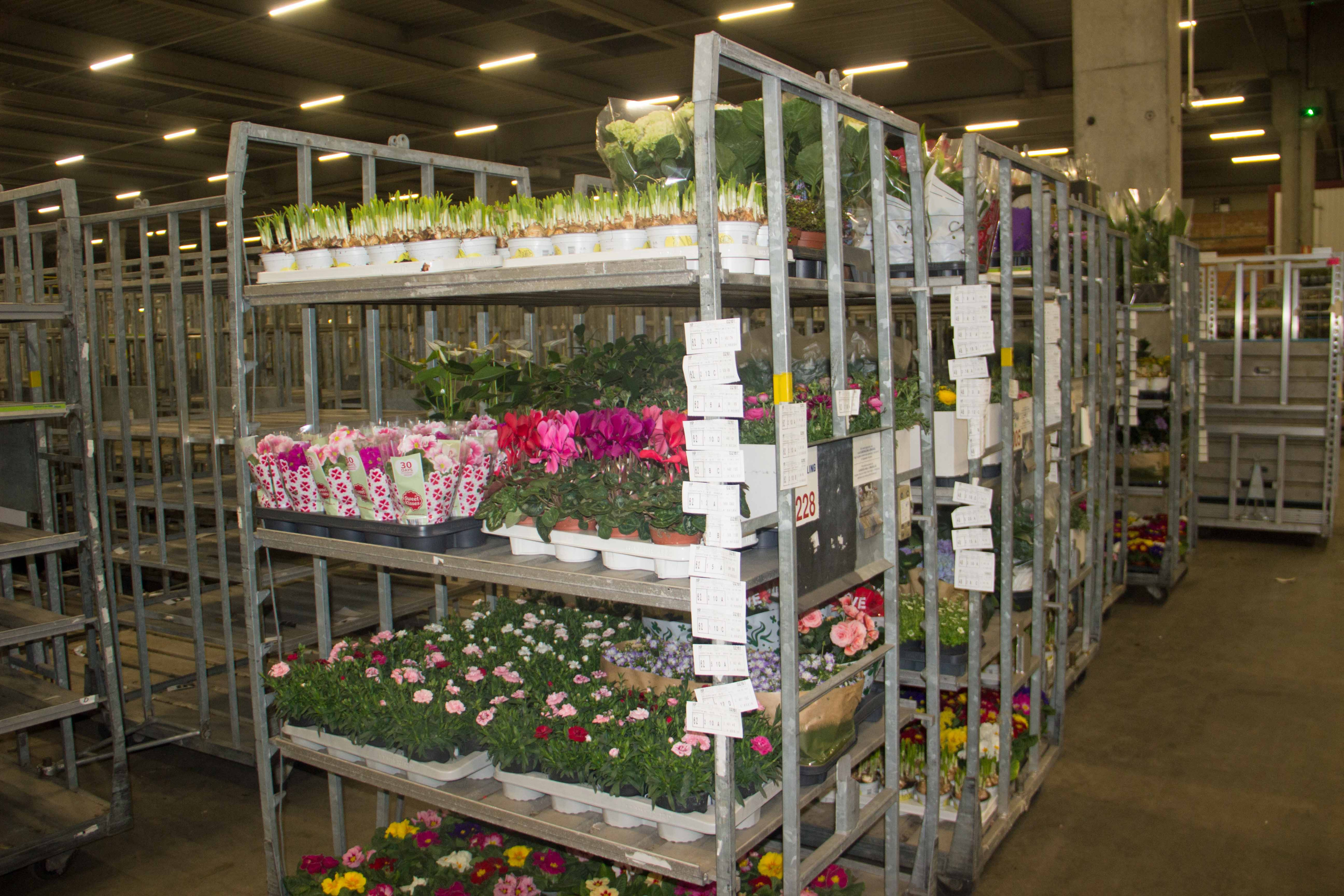 karren met gekochte producten