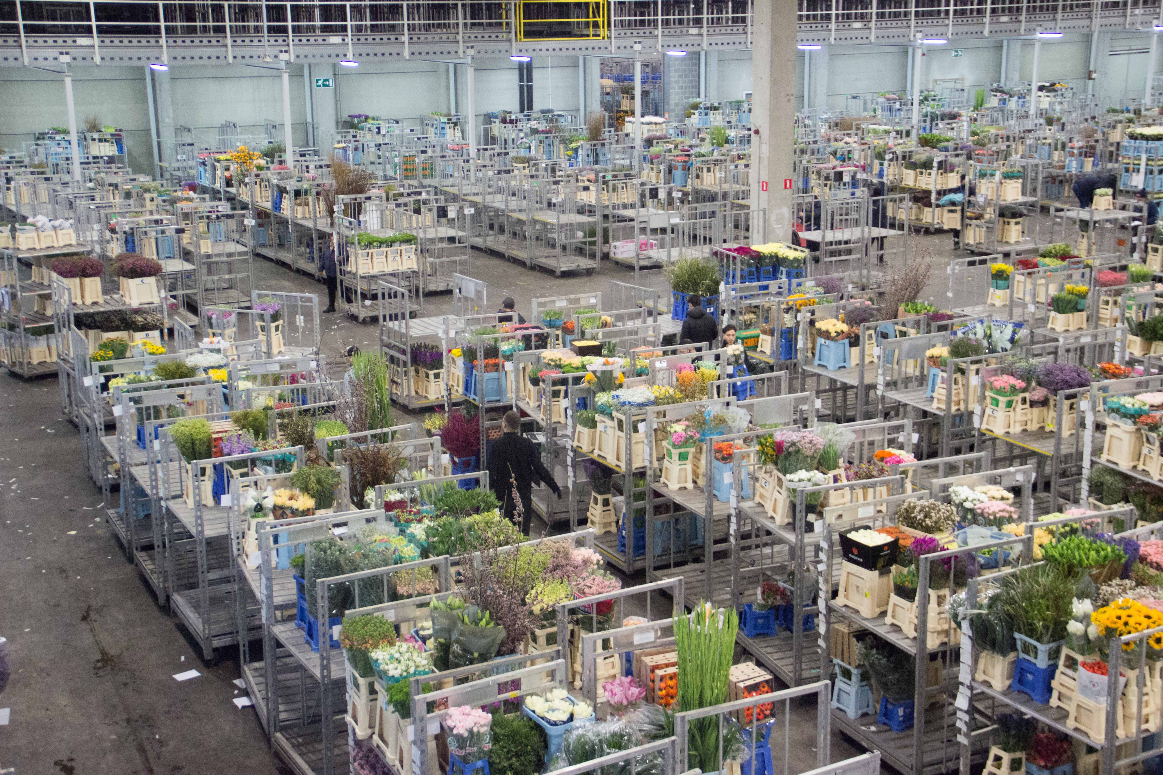 karren met gekochte producten