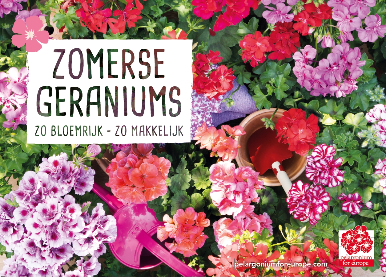 pelargonium promotiemateriaal