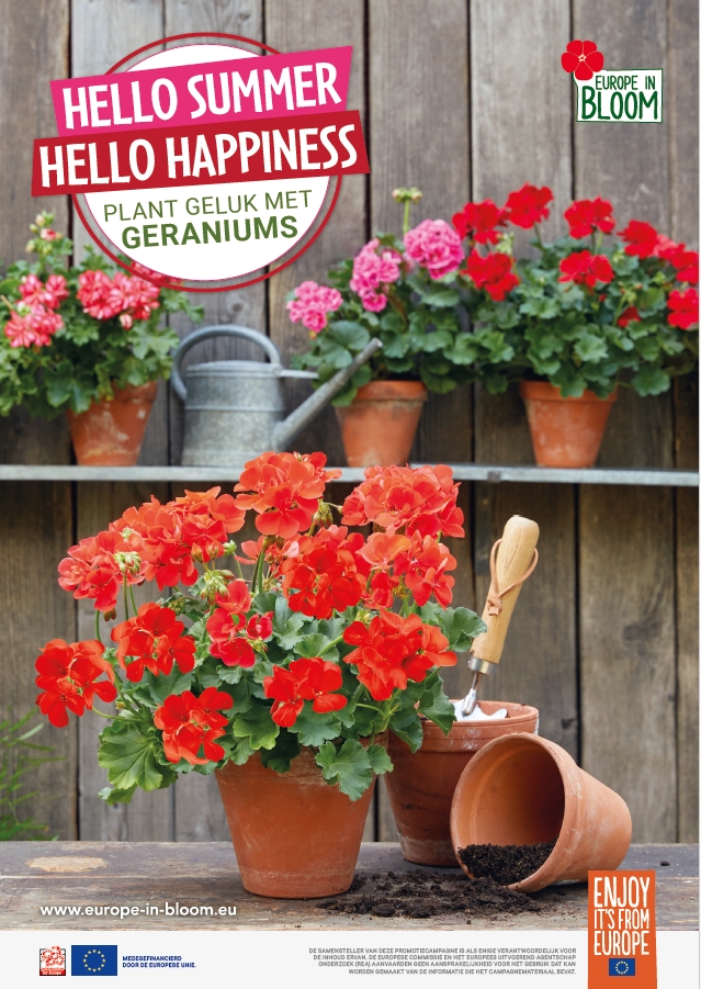 pelargonium promotiemateriaal