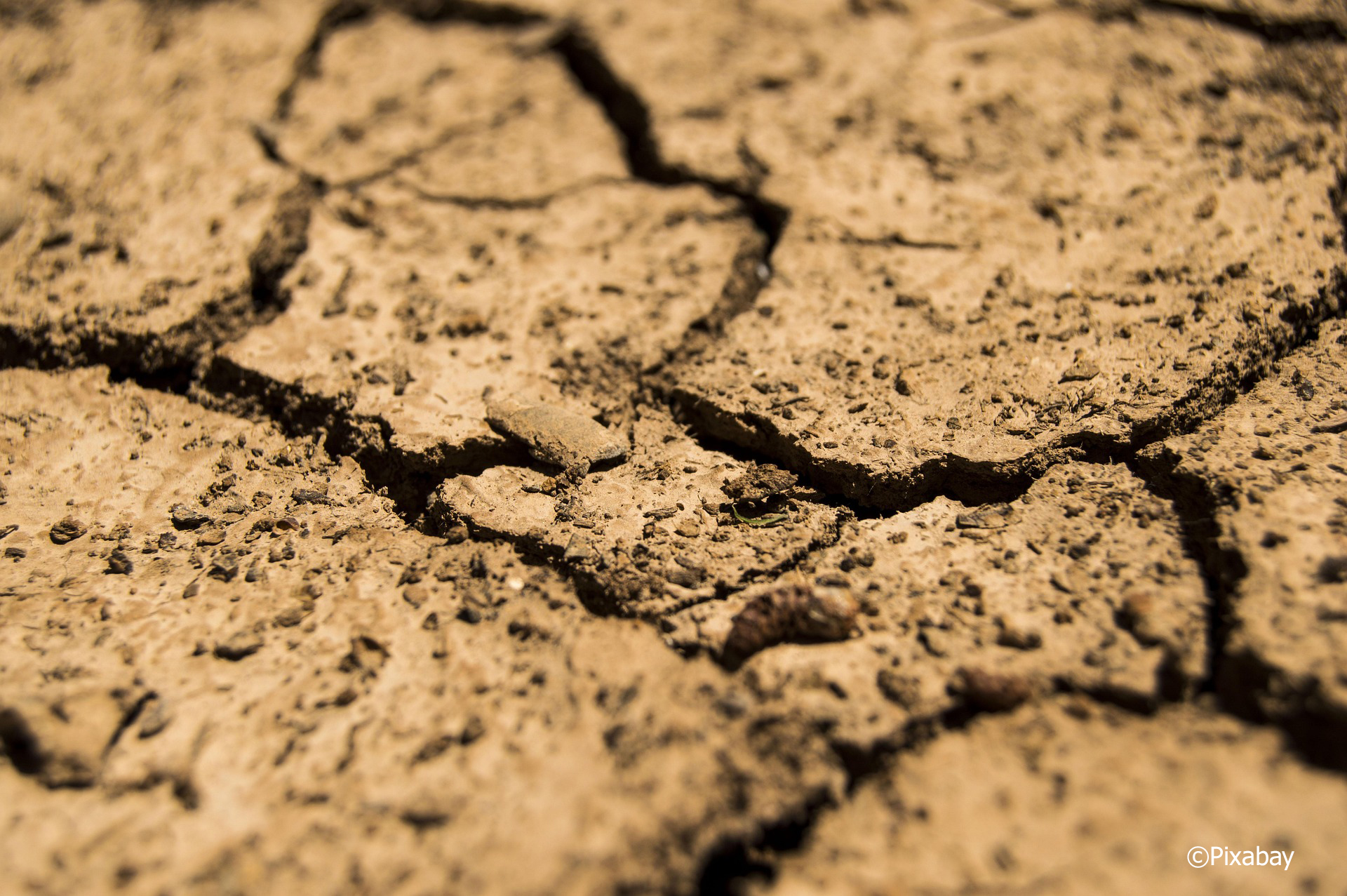 door droogte gebarsten grond