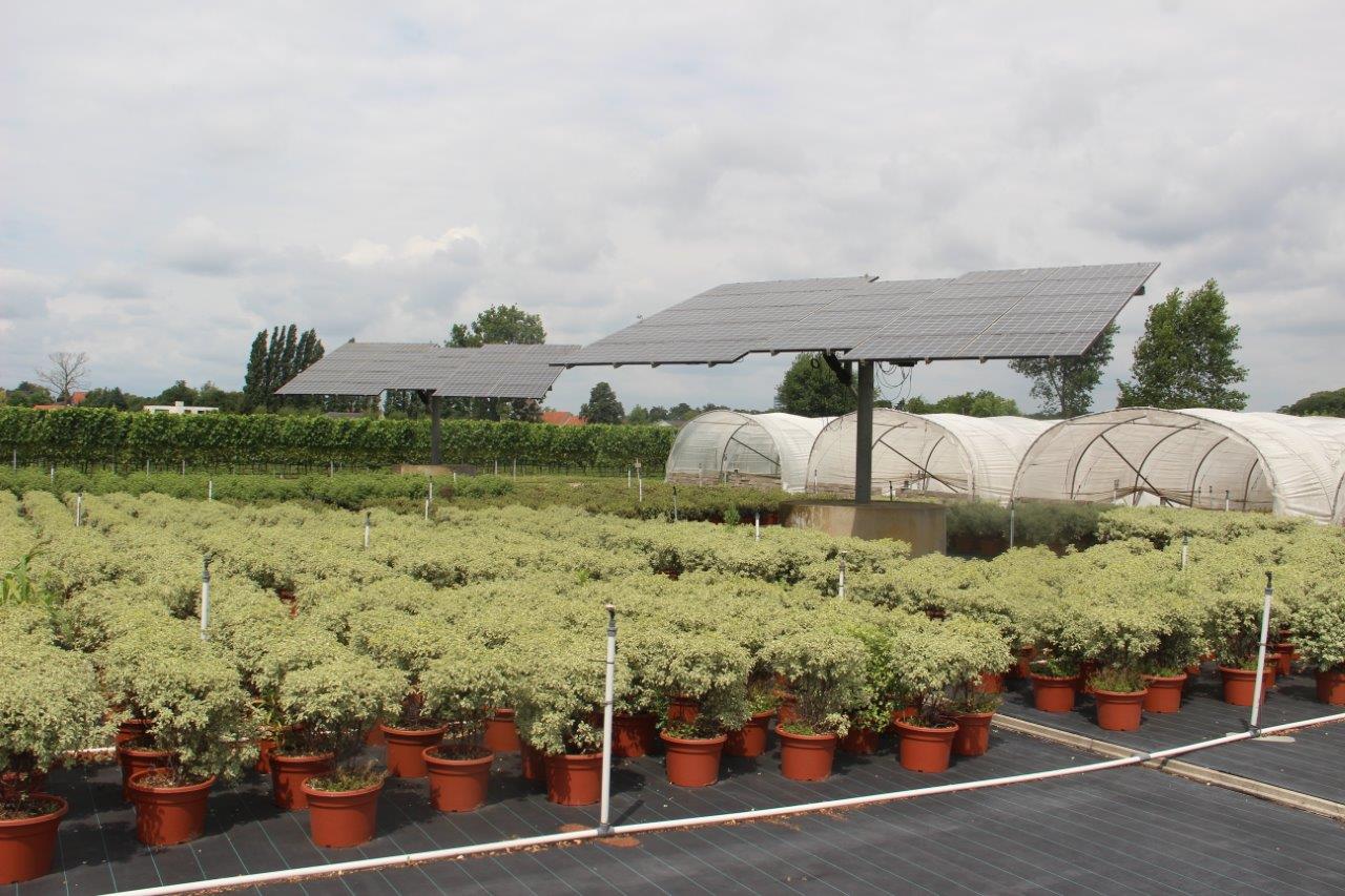 containerveld