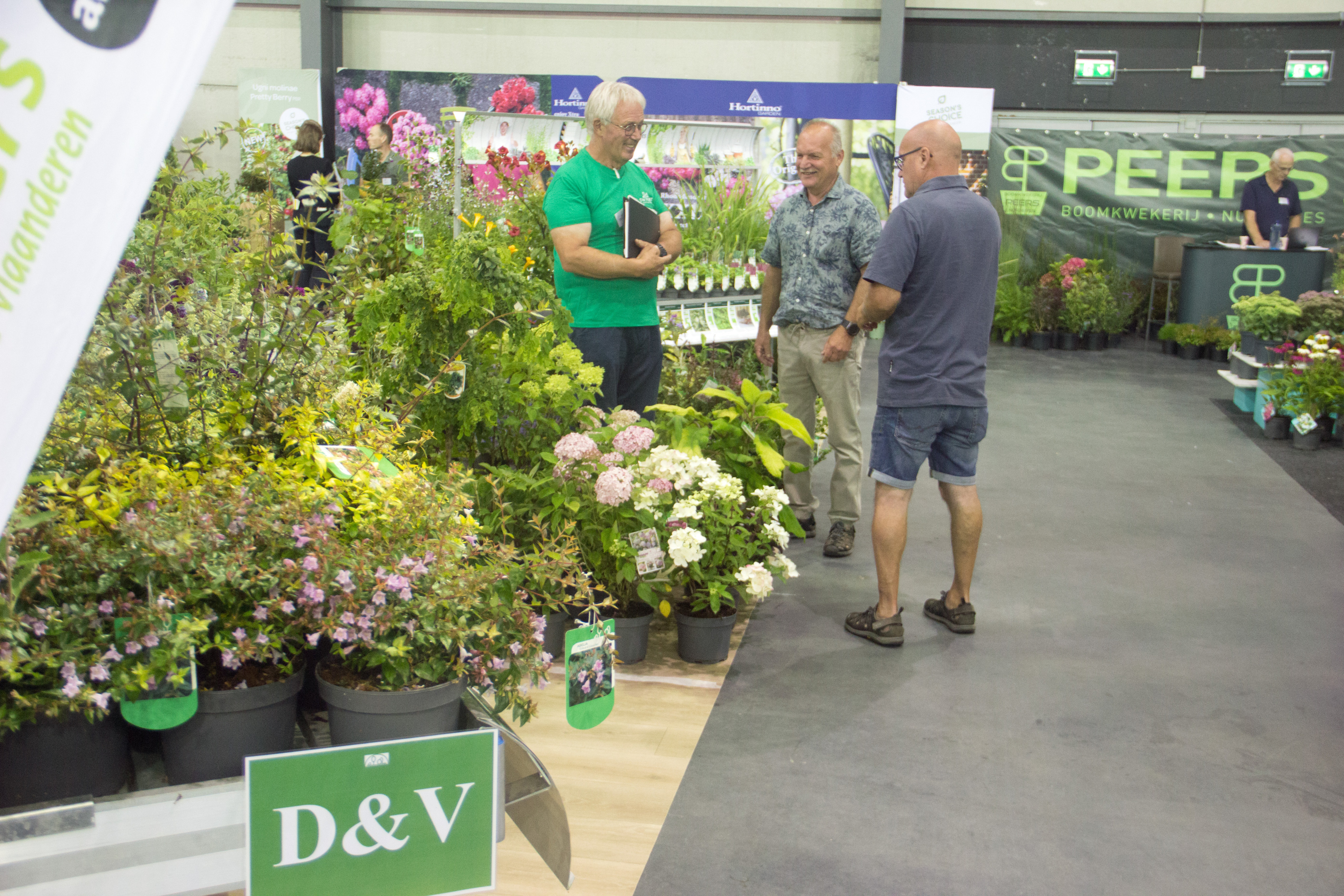 stand D&V plant