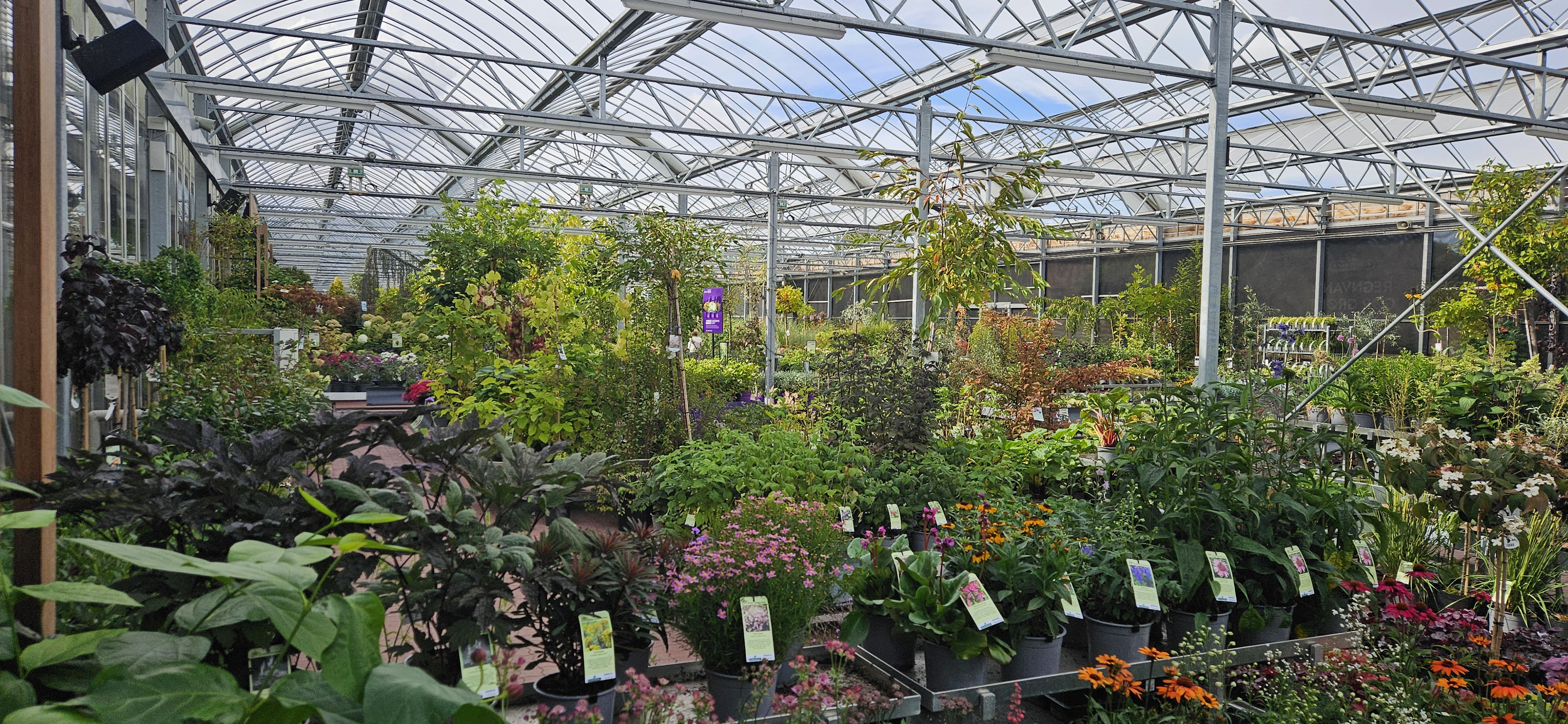 Plantorama