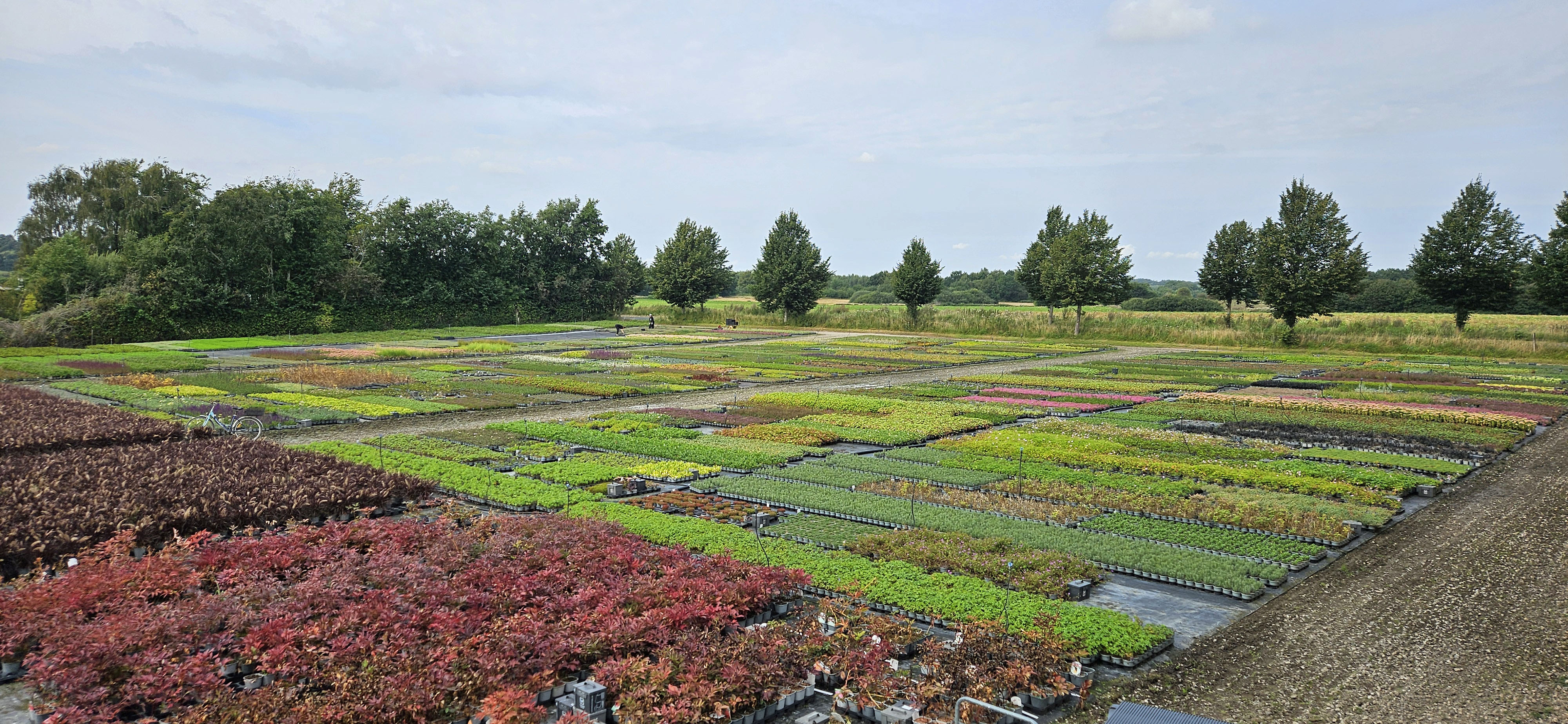 Staudegaarden