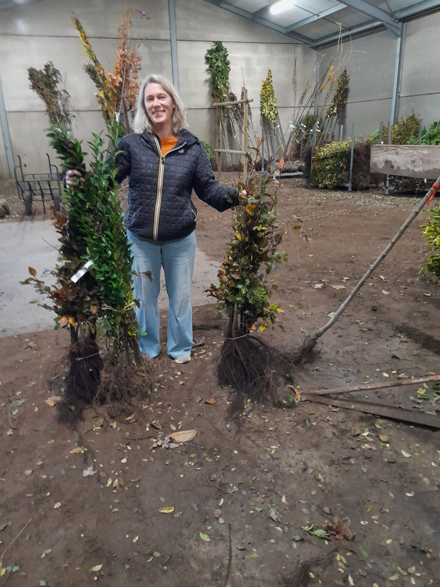 planten in de loods