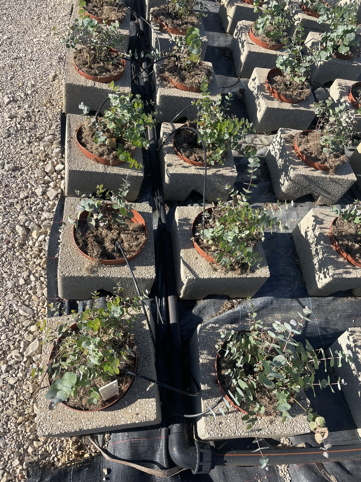 containerveld