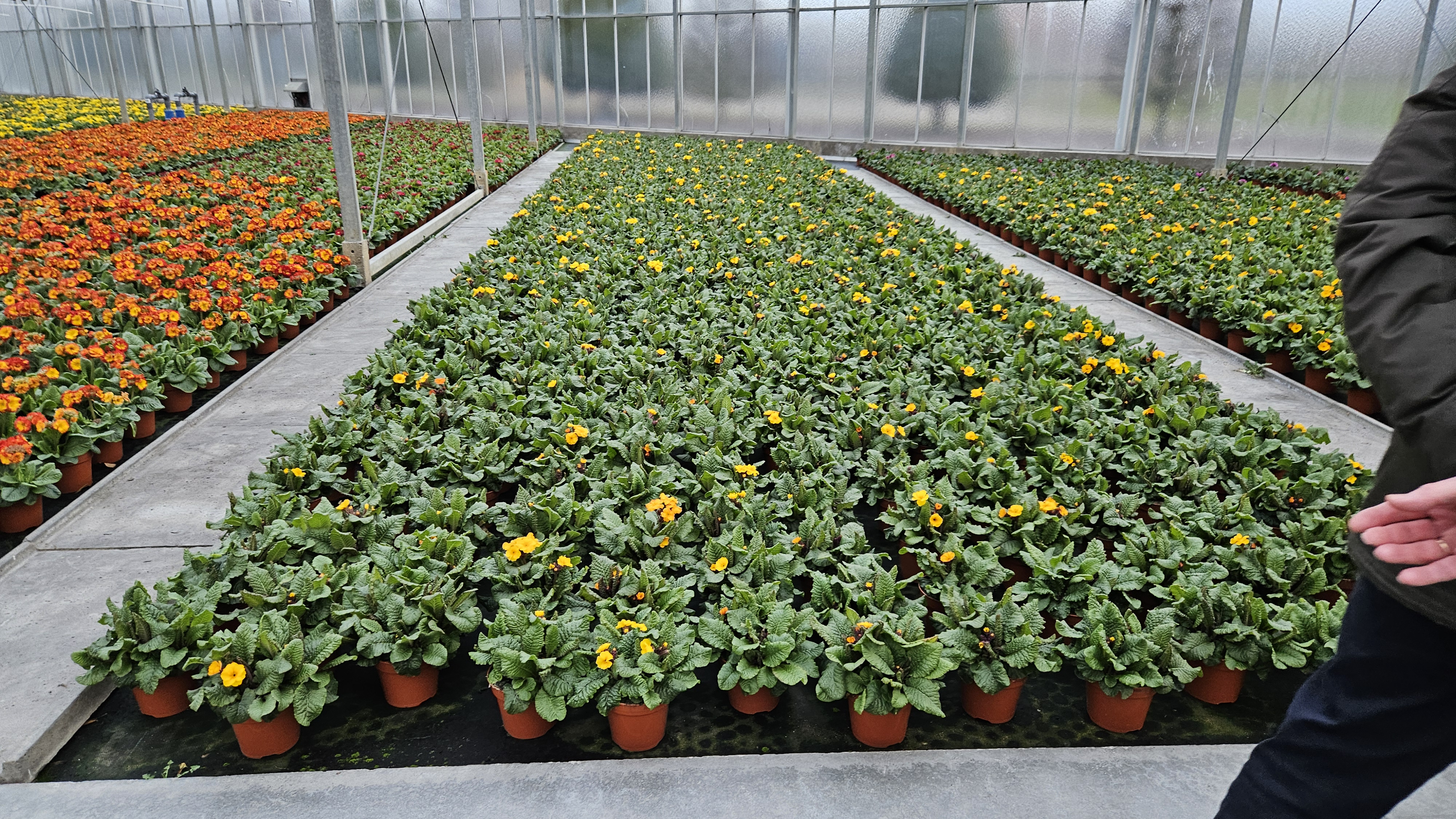 Plantencentrum Eerbeek