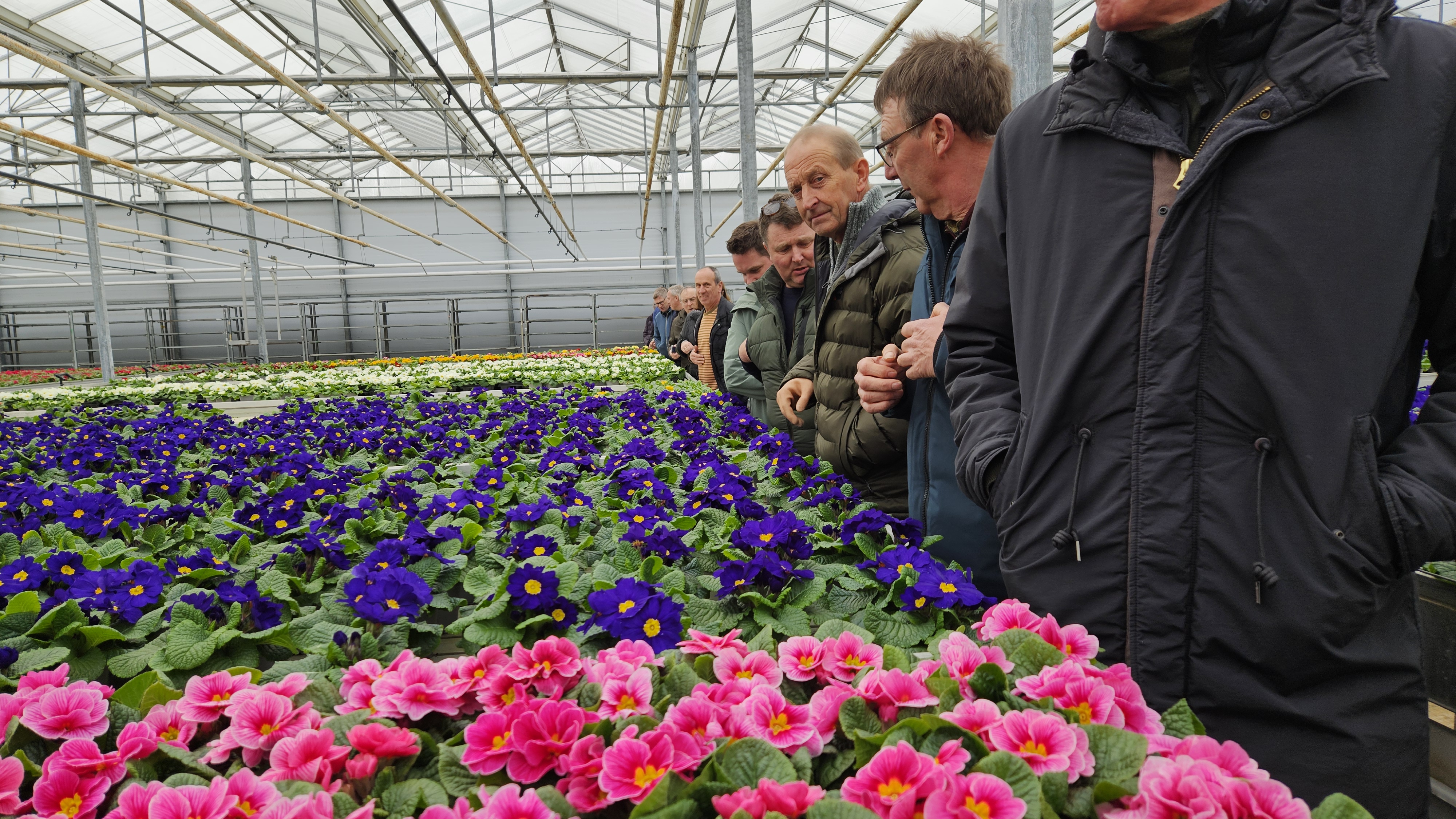 Plantencentrum Eerbeek
