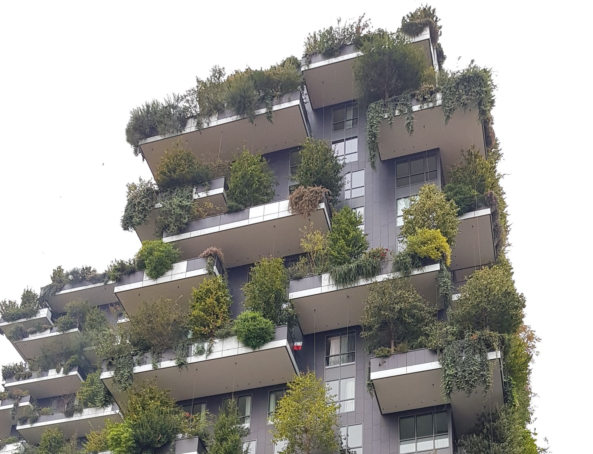 green cities