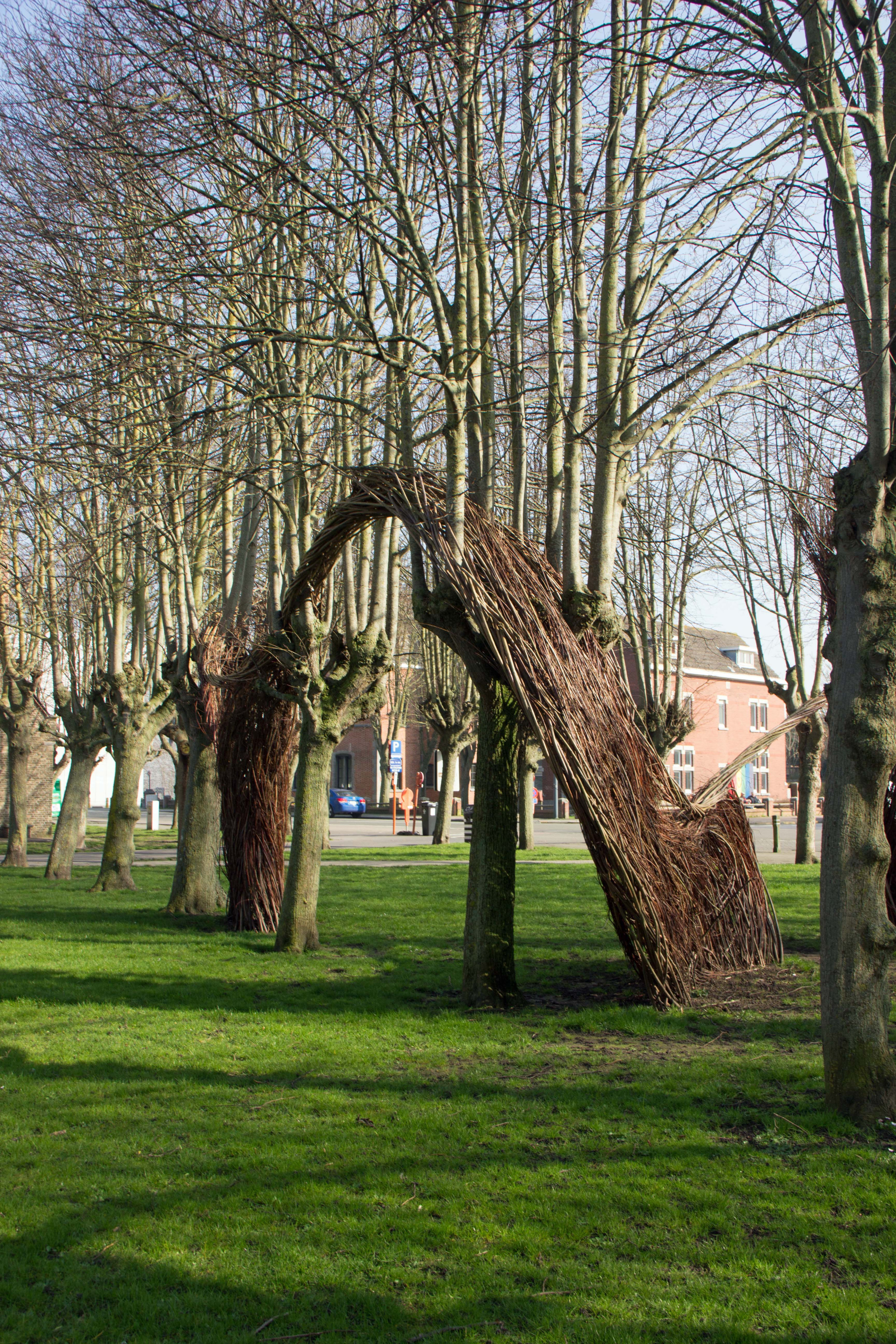 wilgensculptuur Blankenberge