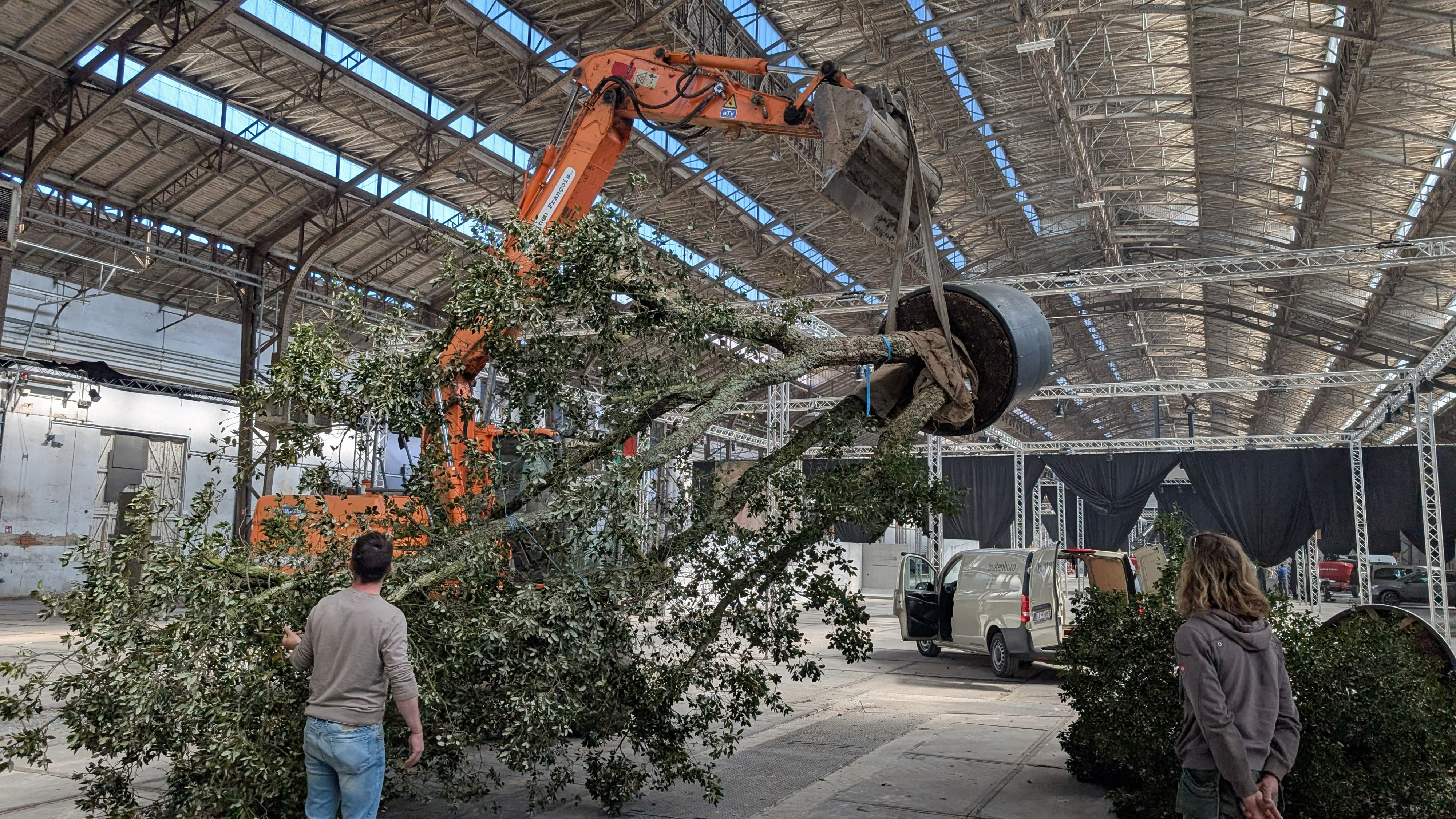 kraan verplaatst boom