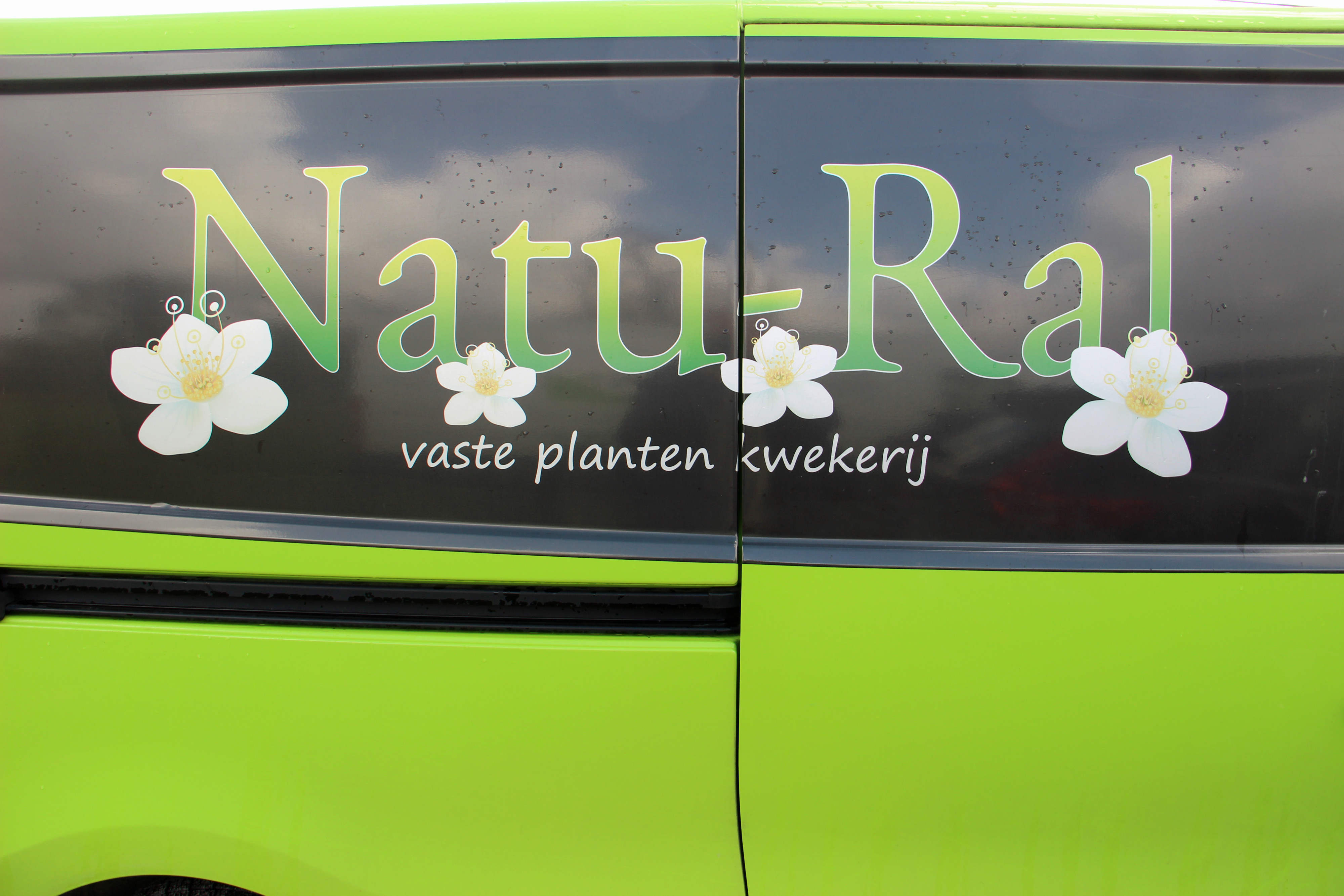 logo Natu Ral