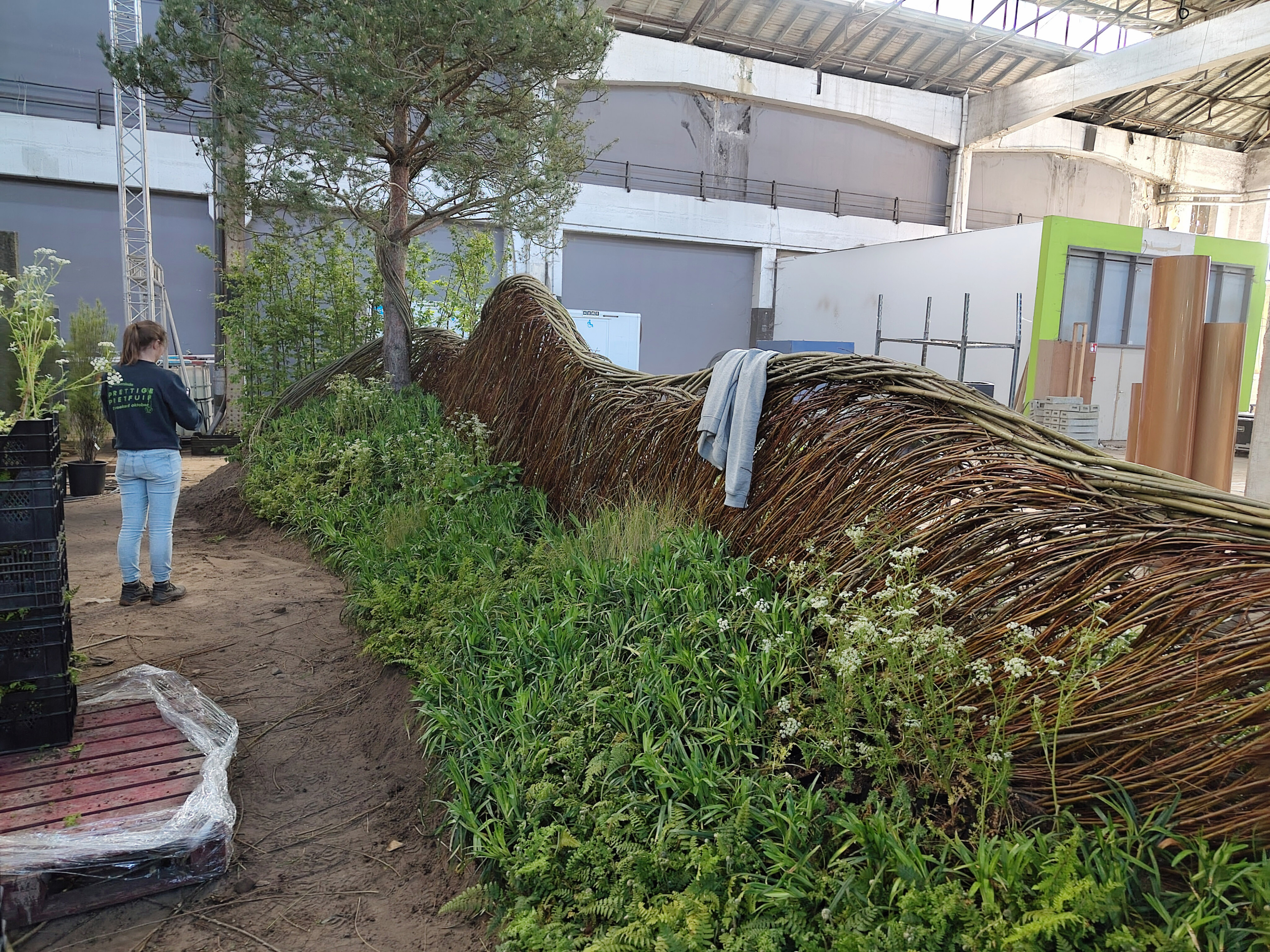 evi vasteplantenborder