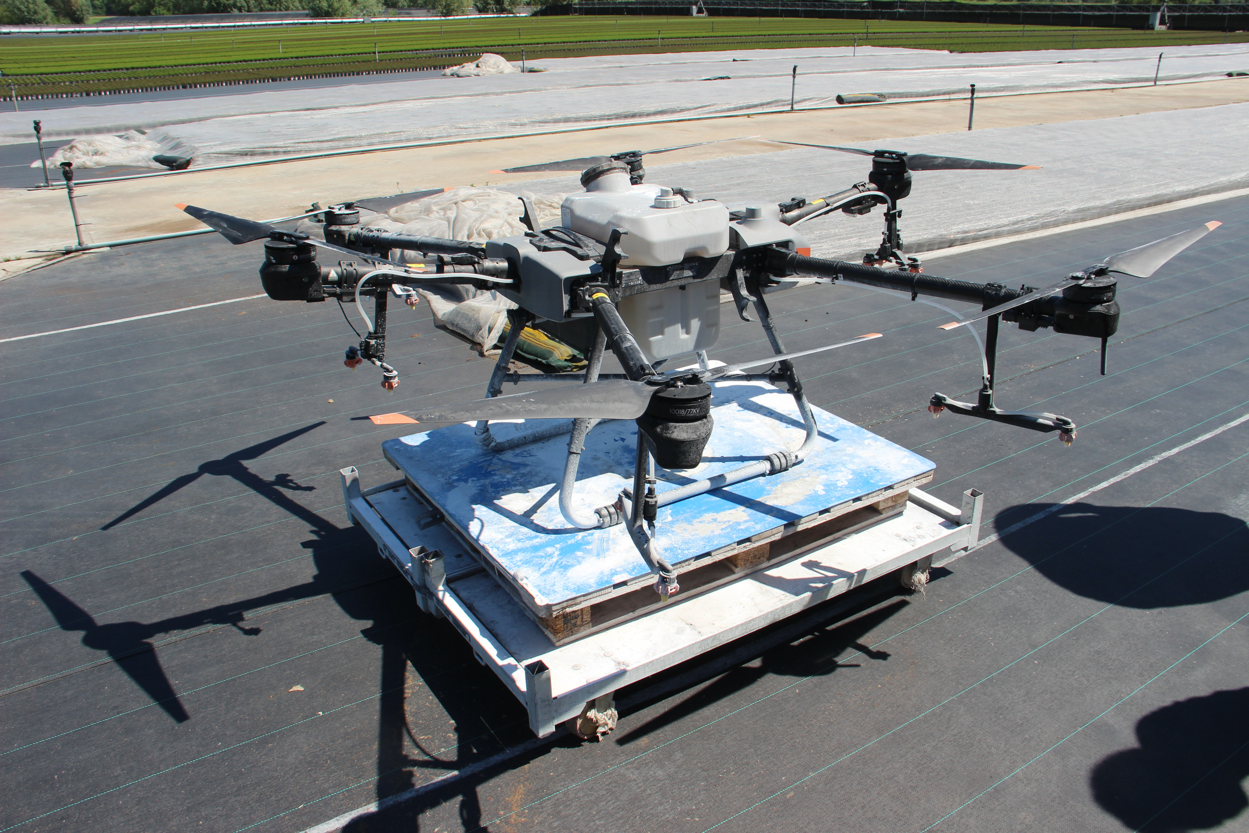 drone witten serre