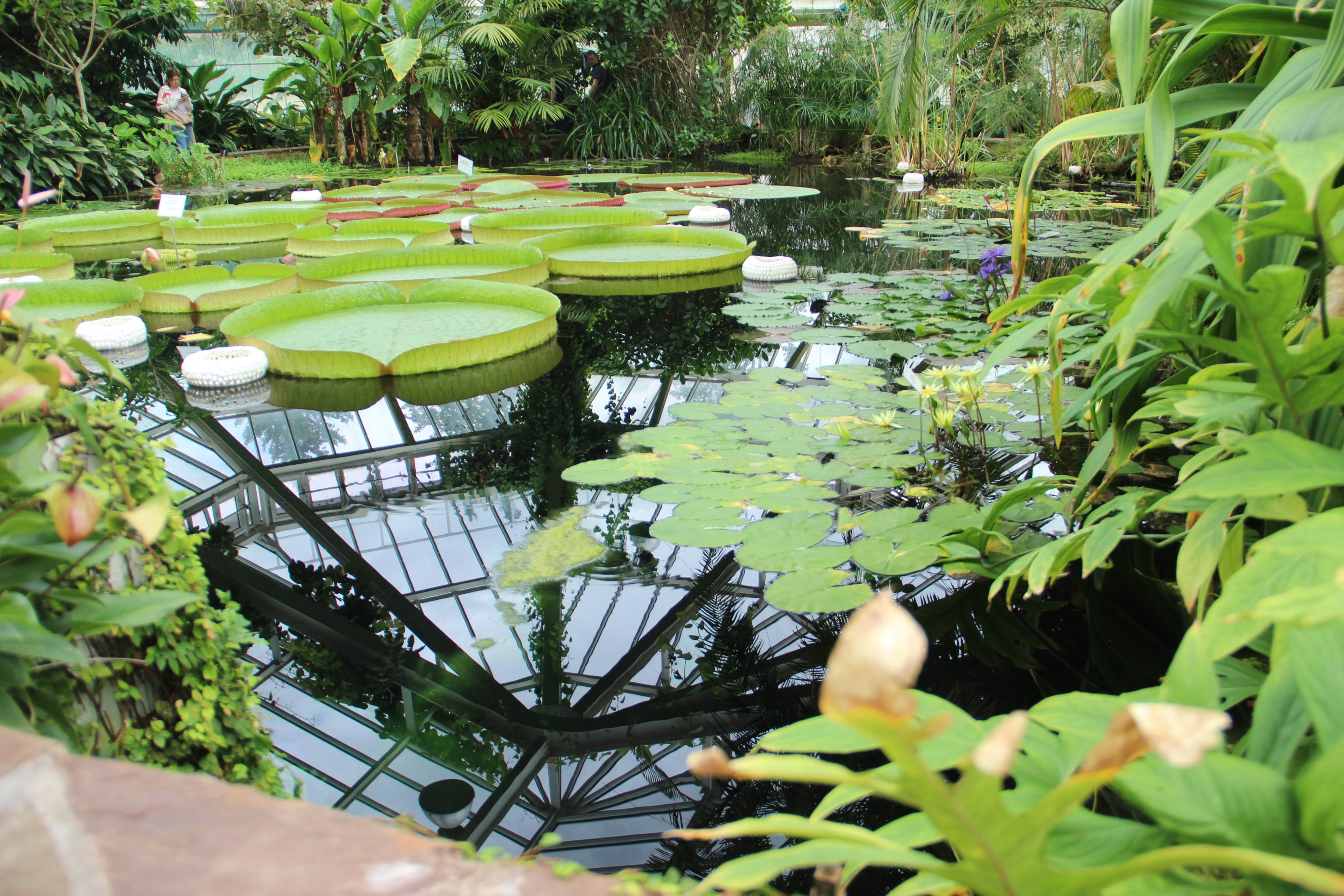 Plantentuin