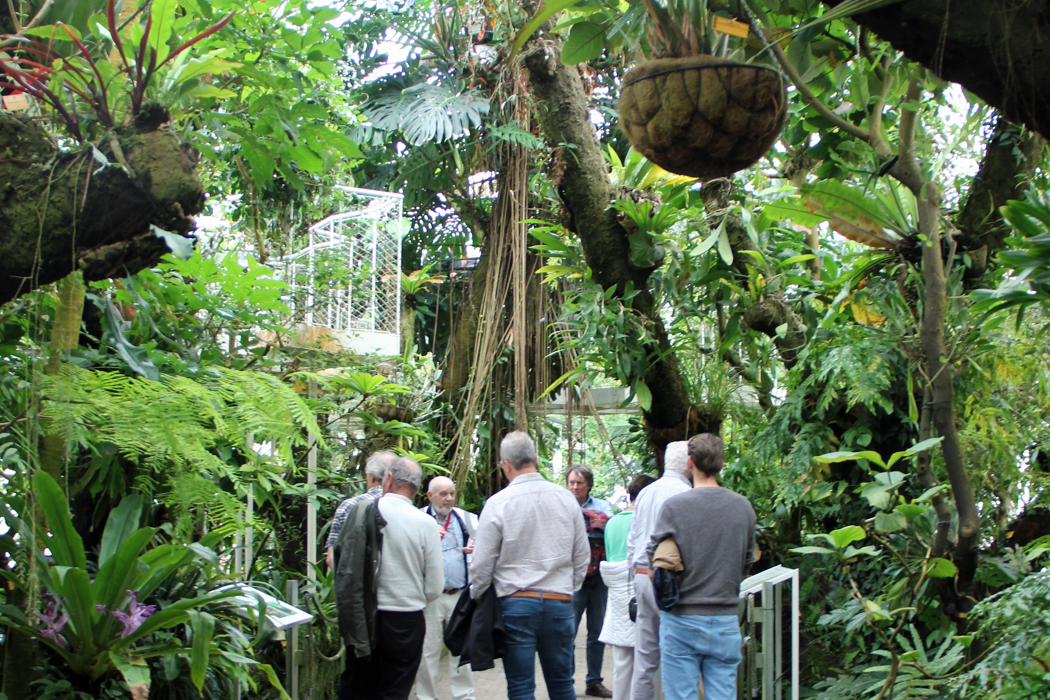 plantentuin Meise