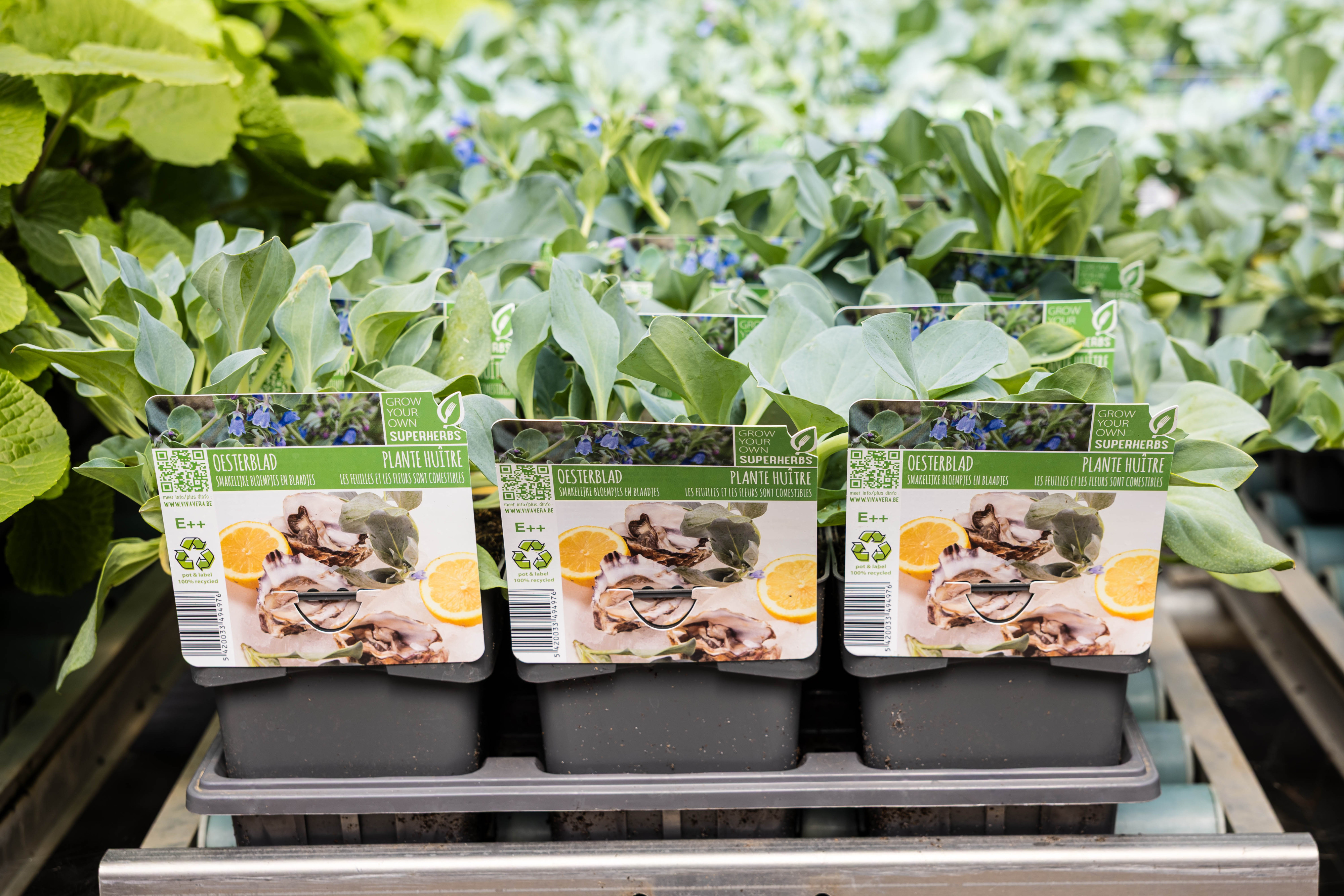 planten en etiketten